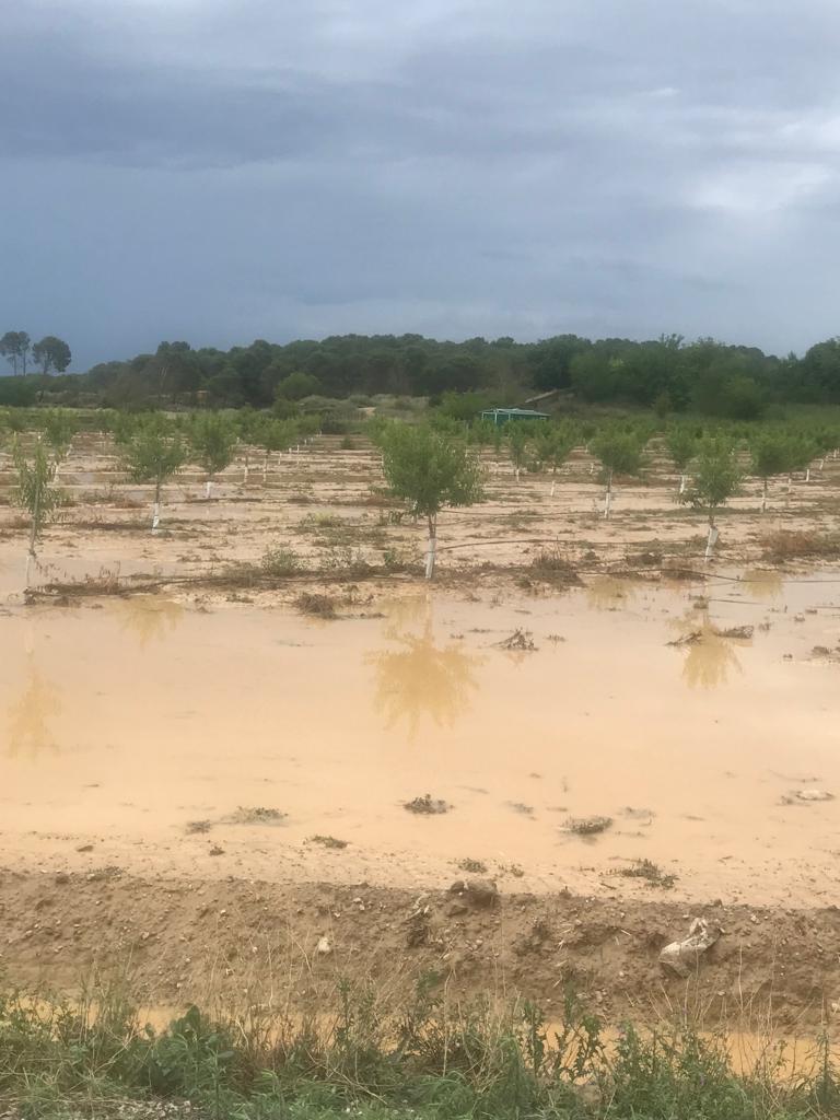 Daños por las fuertes tormentas y granizo en Huesca.