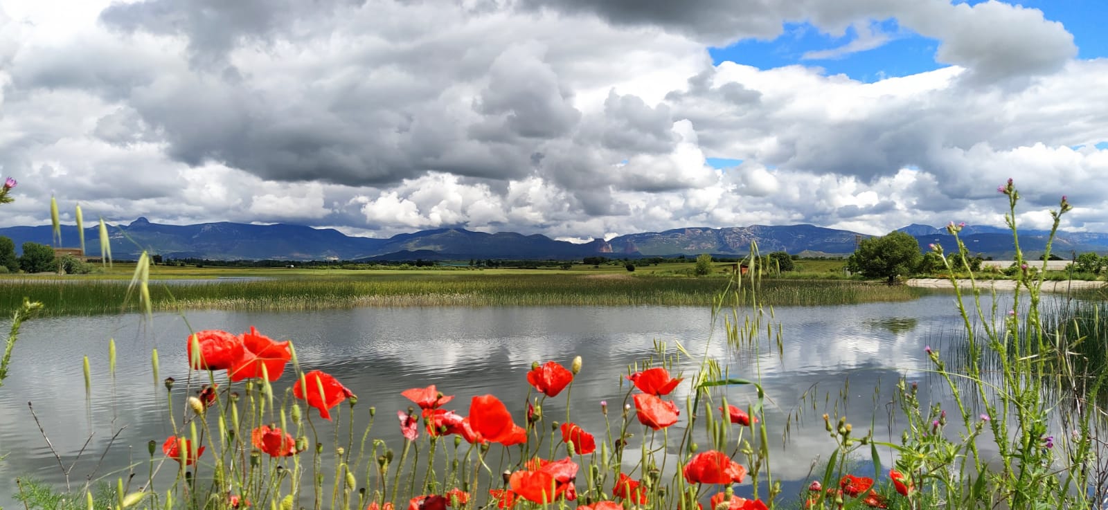 Imágenes primaverales de la Alberca de Loreto que evidencian el contraste con su situación actual. Foto Joaquín Santafé 