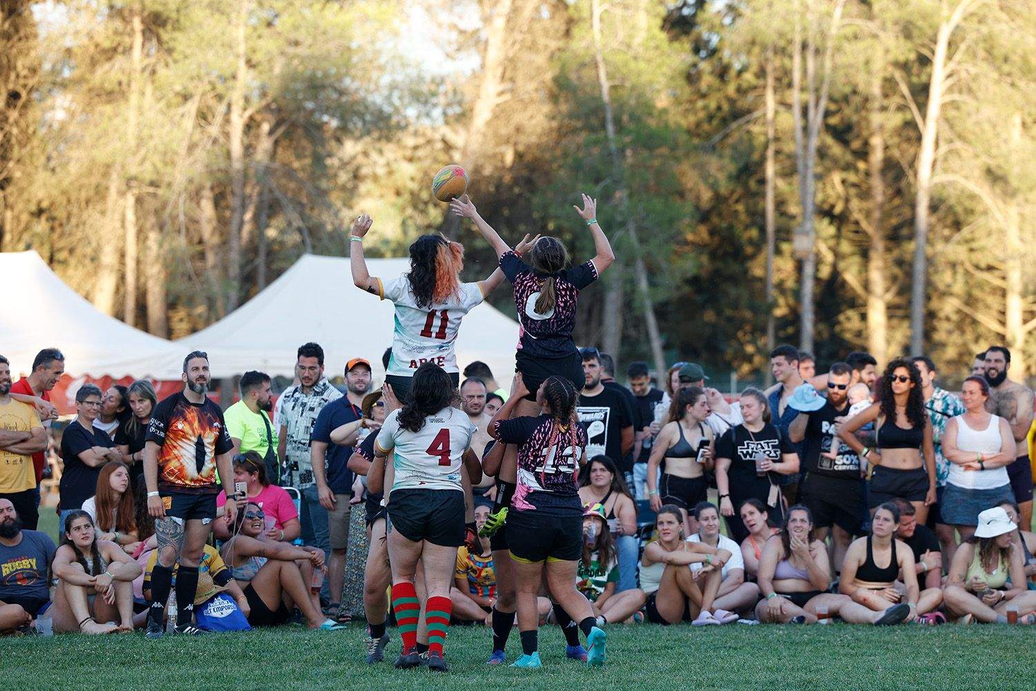 Final Fem  Arae vs Fat Ferns