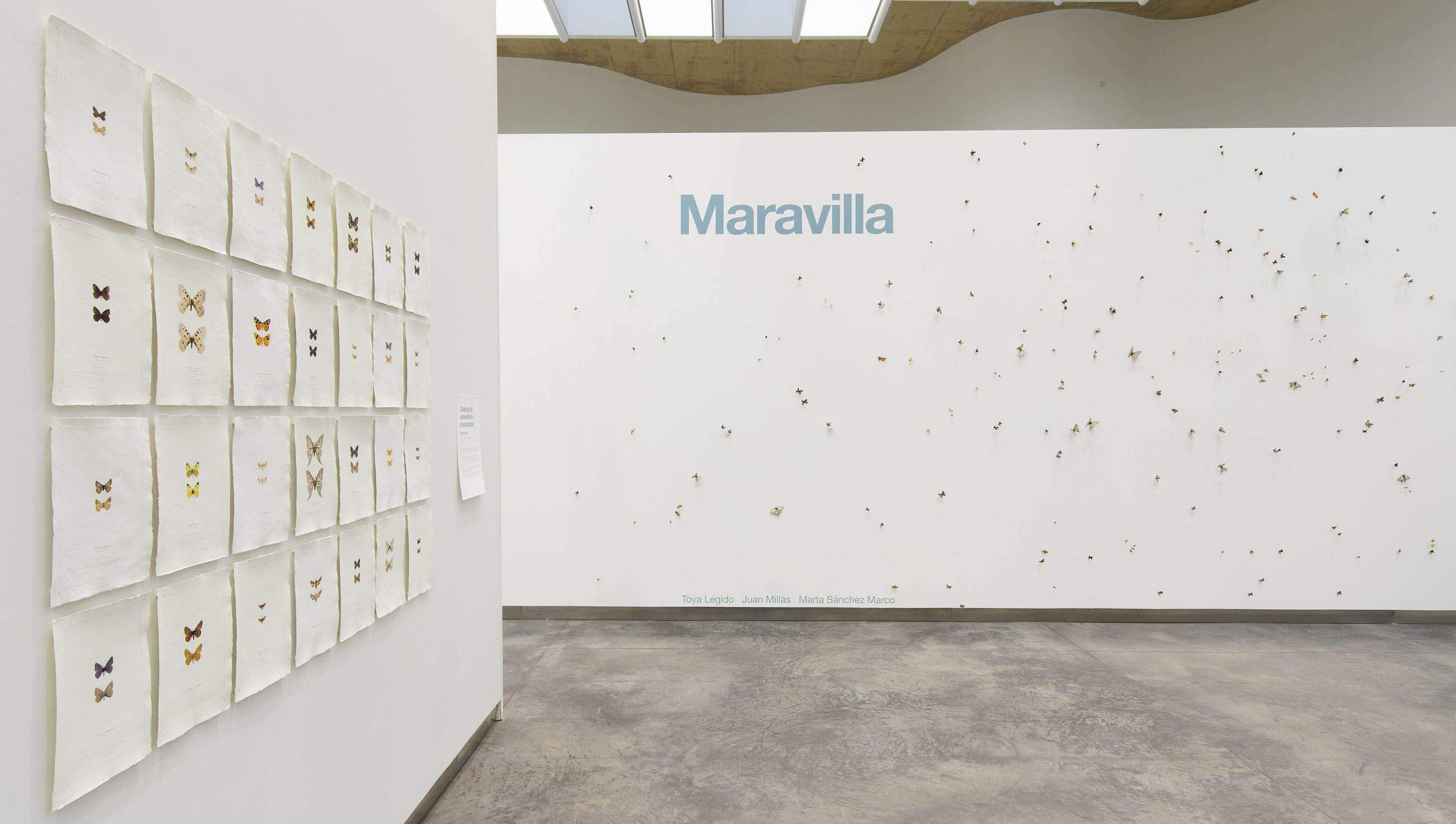 Exposición 'Maravilla' en el CDAN de Huesca. Foto Javier Broto Hernando