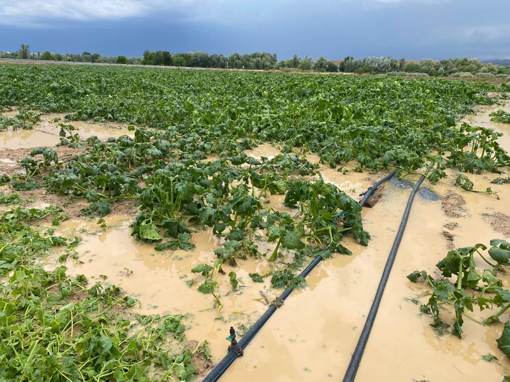 Imagen de los daños de la tormenta del pasado domingo en Los Monegros.