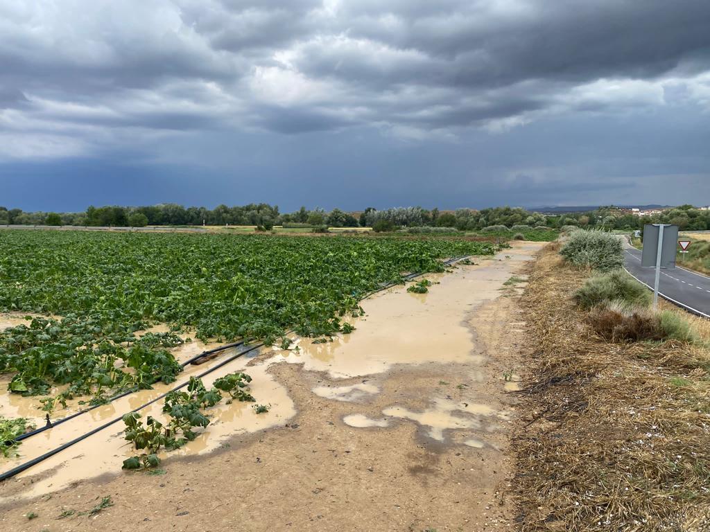 Daños por las fuertes tormentas y granizo en Los Monegros.
