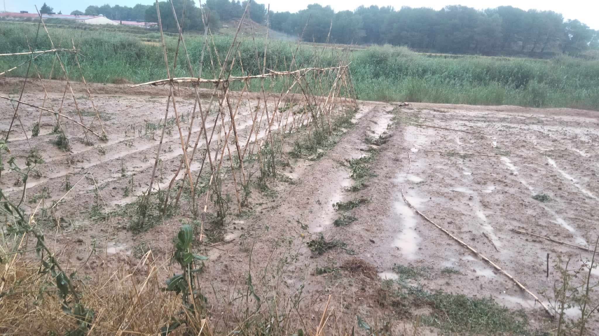 Daños por las fuertes tormentas y granizo en Los Monegros.