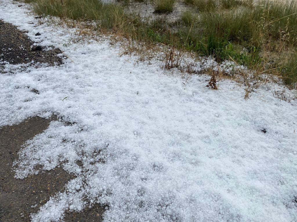 Daños por las fuertes tormentas y granizo en Los Monegros.