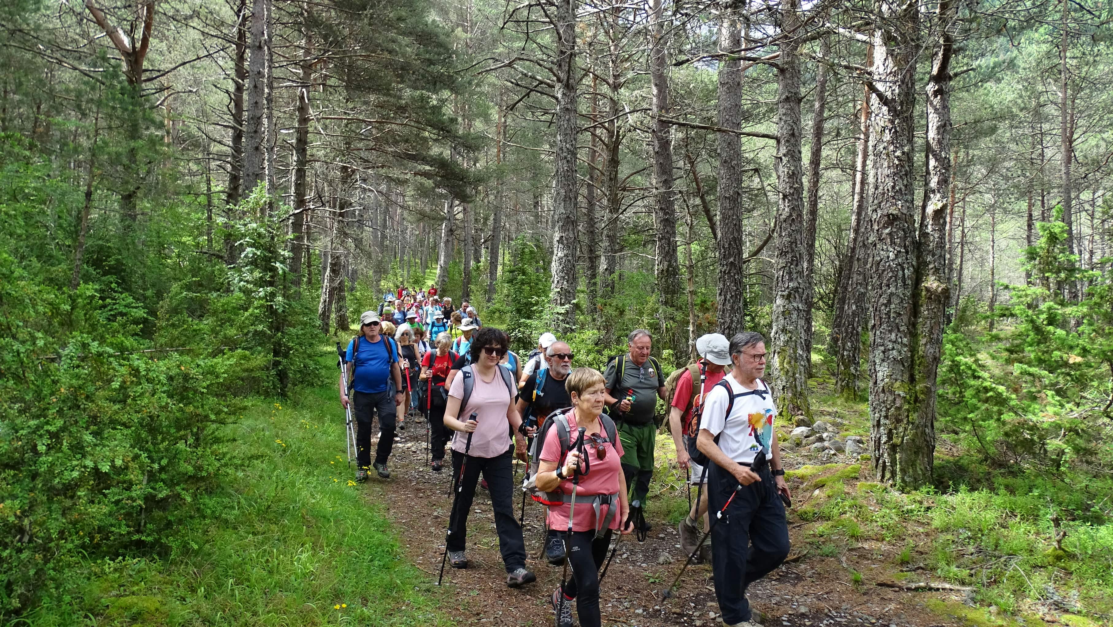 Por el Valle de Pineta. Foto Alfredo Zazo