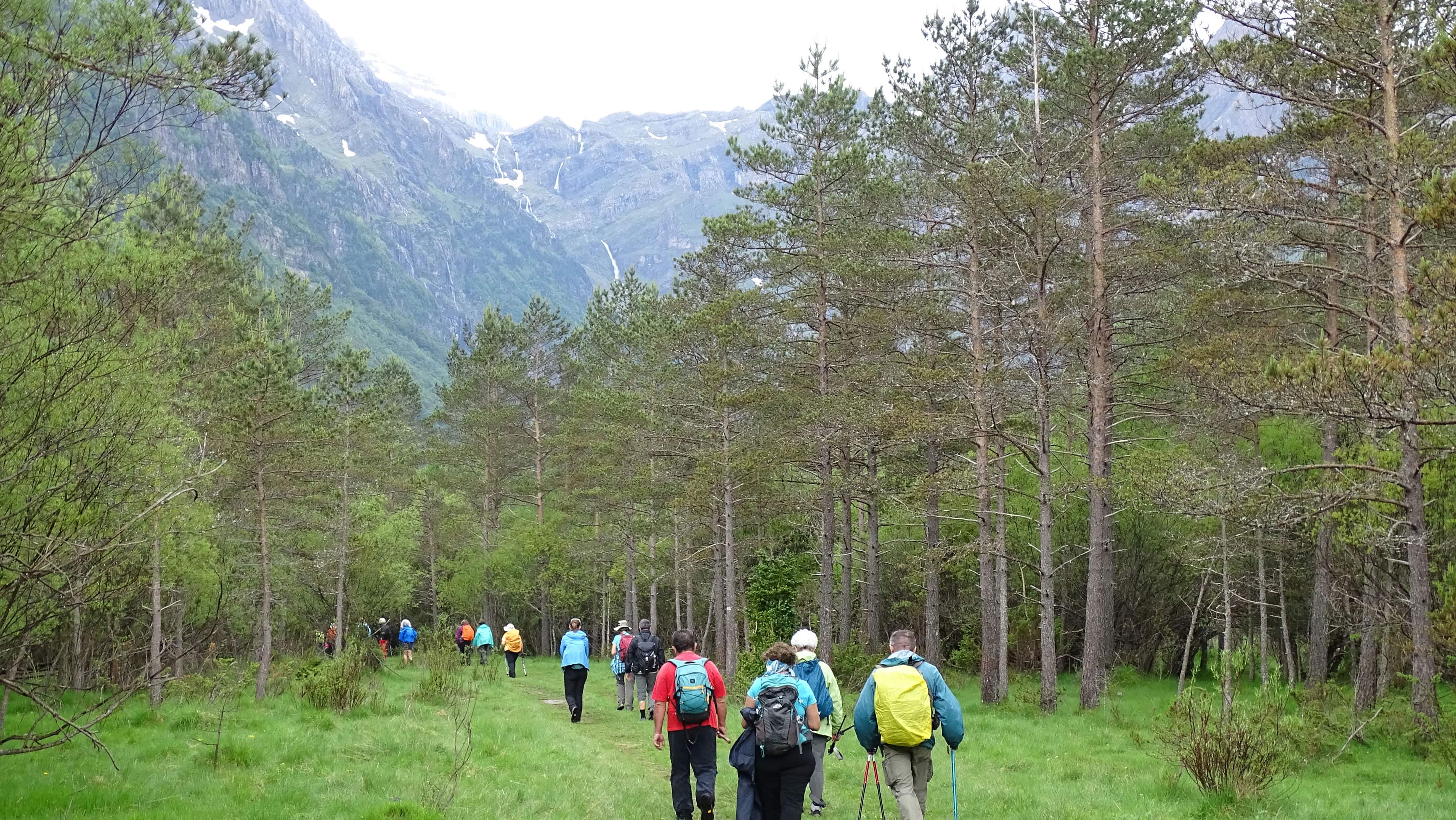 Por el Valle de Pineta. Foto Alfredo Zazo