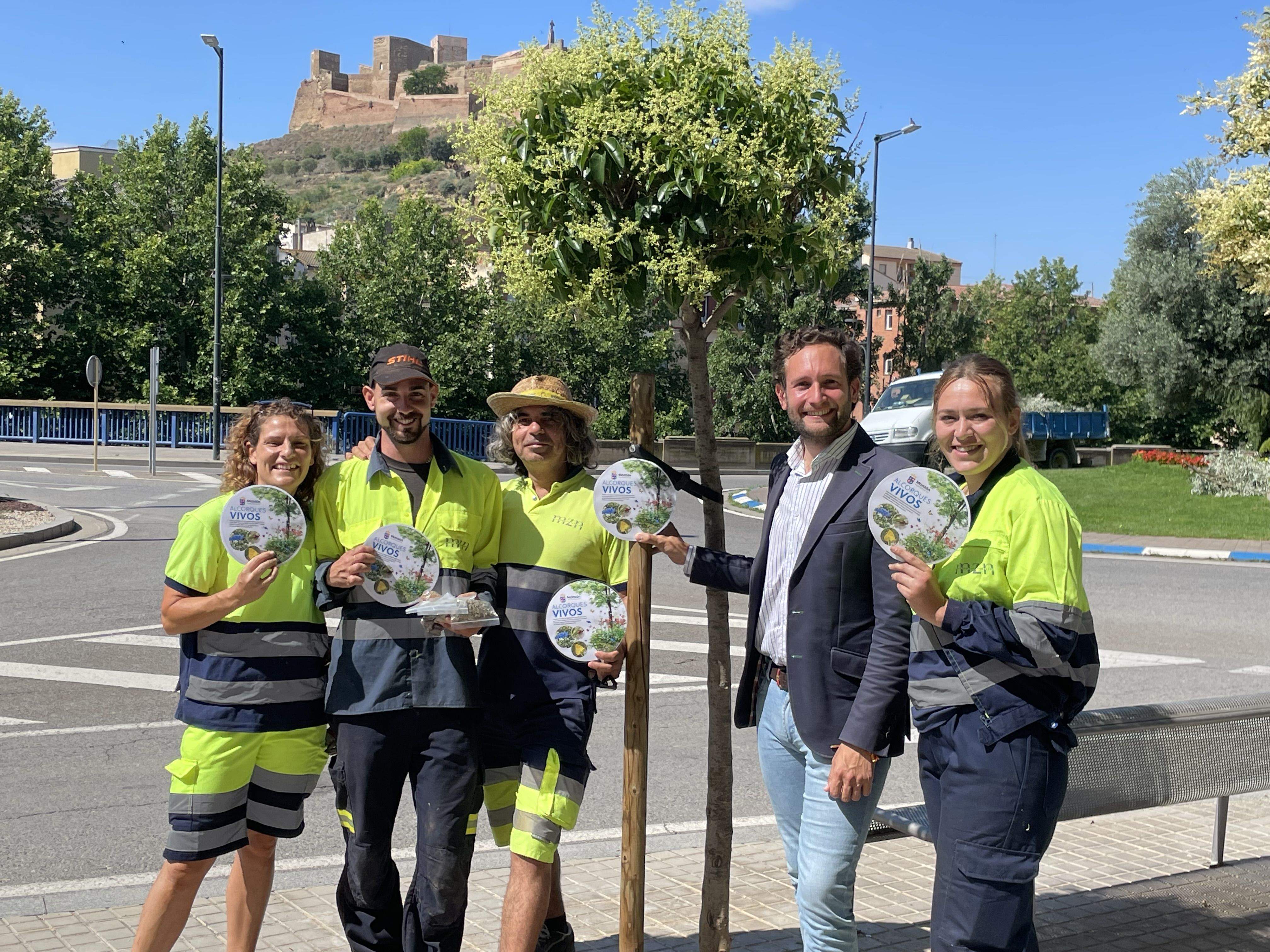 Monzón comienza la implantación de islas de biodiversidad.