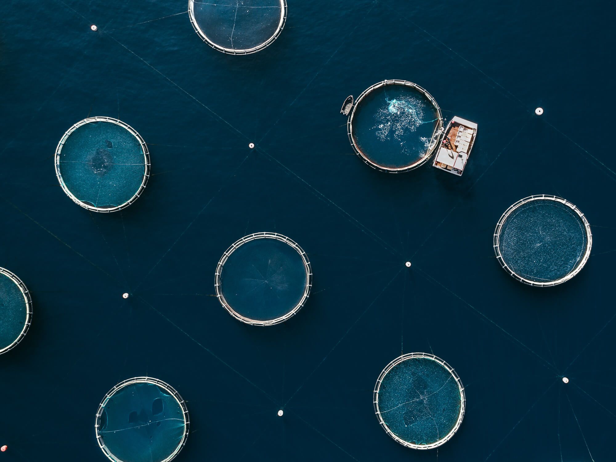 Fotografía de Tom Hegen en El Somontano