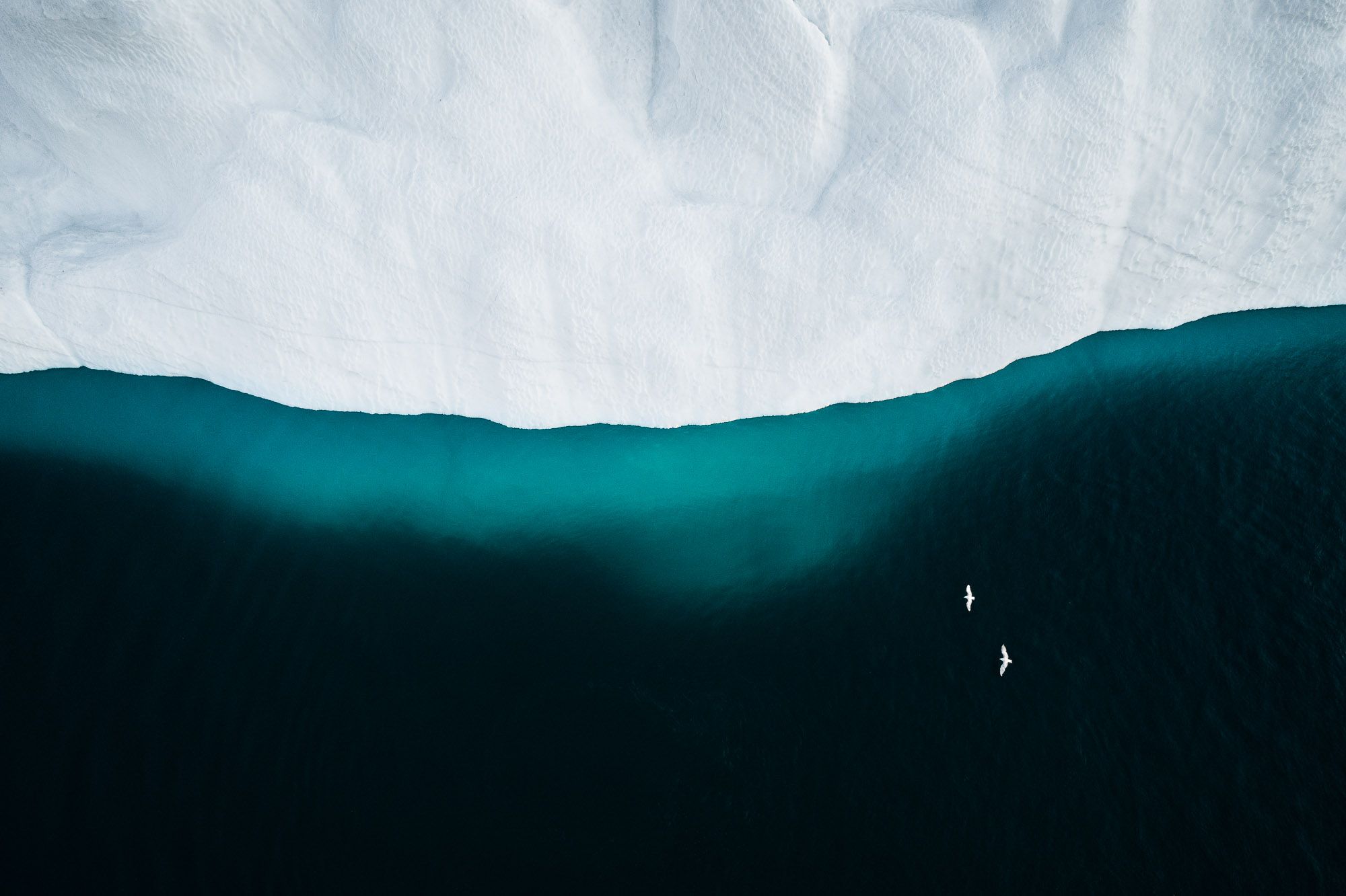 Fotografía de Tom Hegen en El Somontano