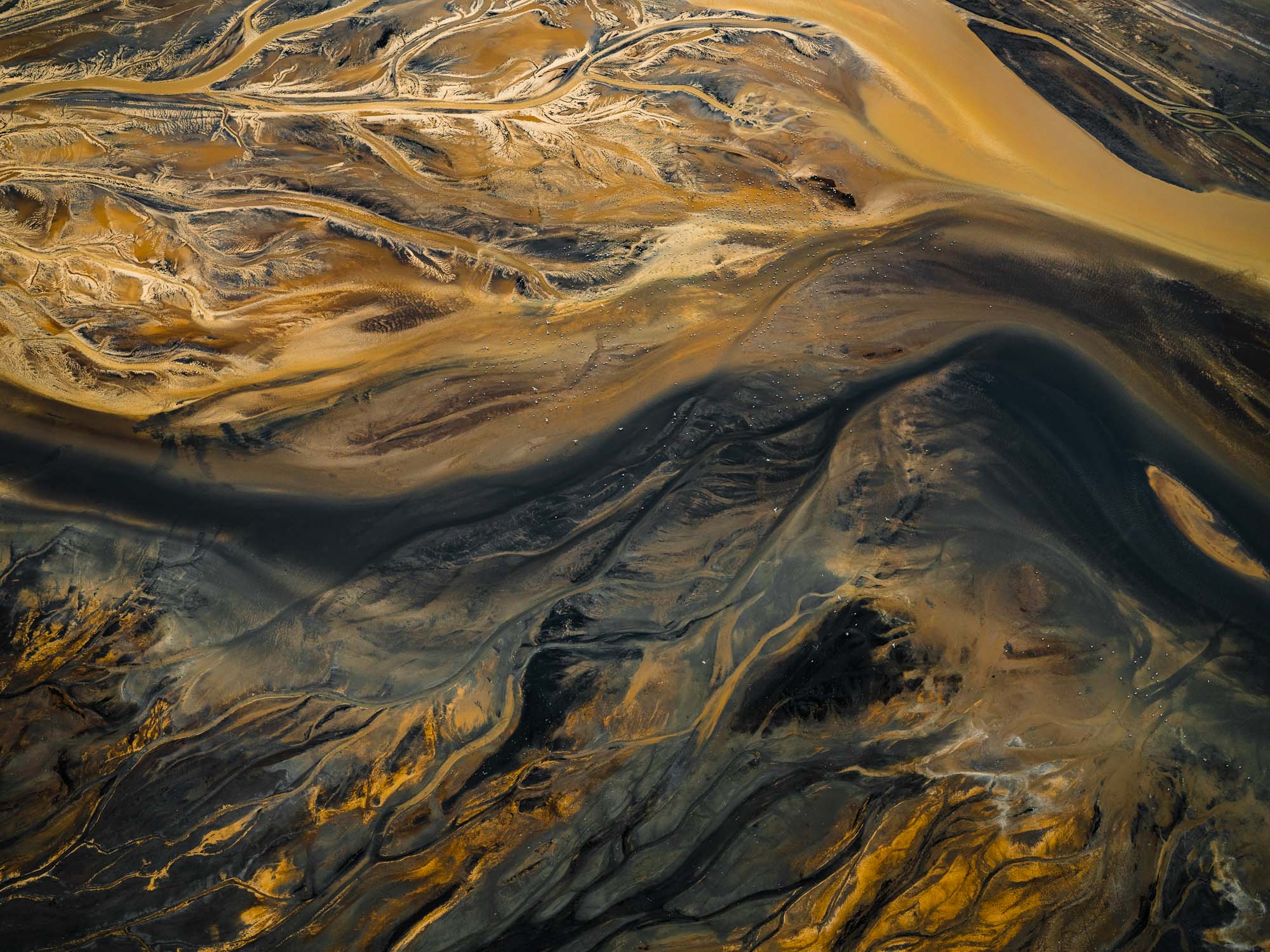 Fotografía de Tom Hegen en El Somontano