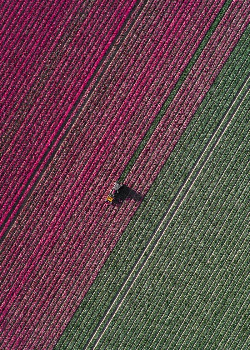 Fotografía de Tom Hegen en El Somontano