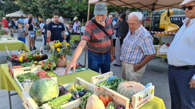 Degustación de hortalizas en Binéfar Degustación de hortalizas en Binéfar