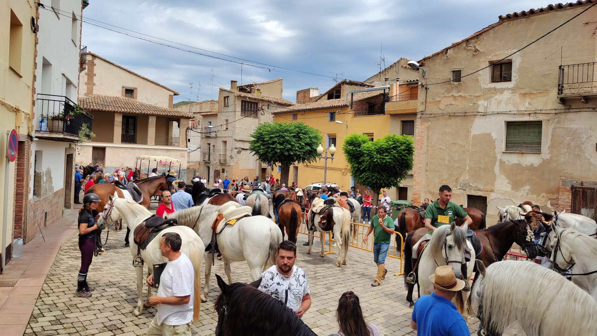 Encuentro Ecuestre y Trotacalles de San Esteban de Litera.