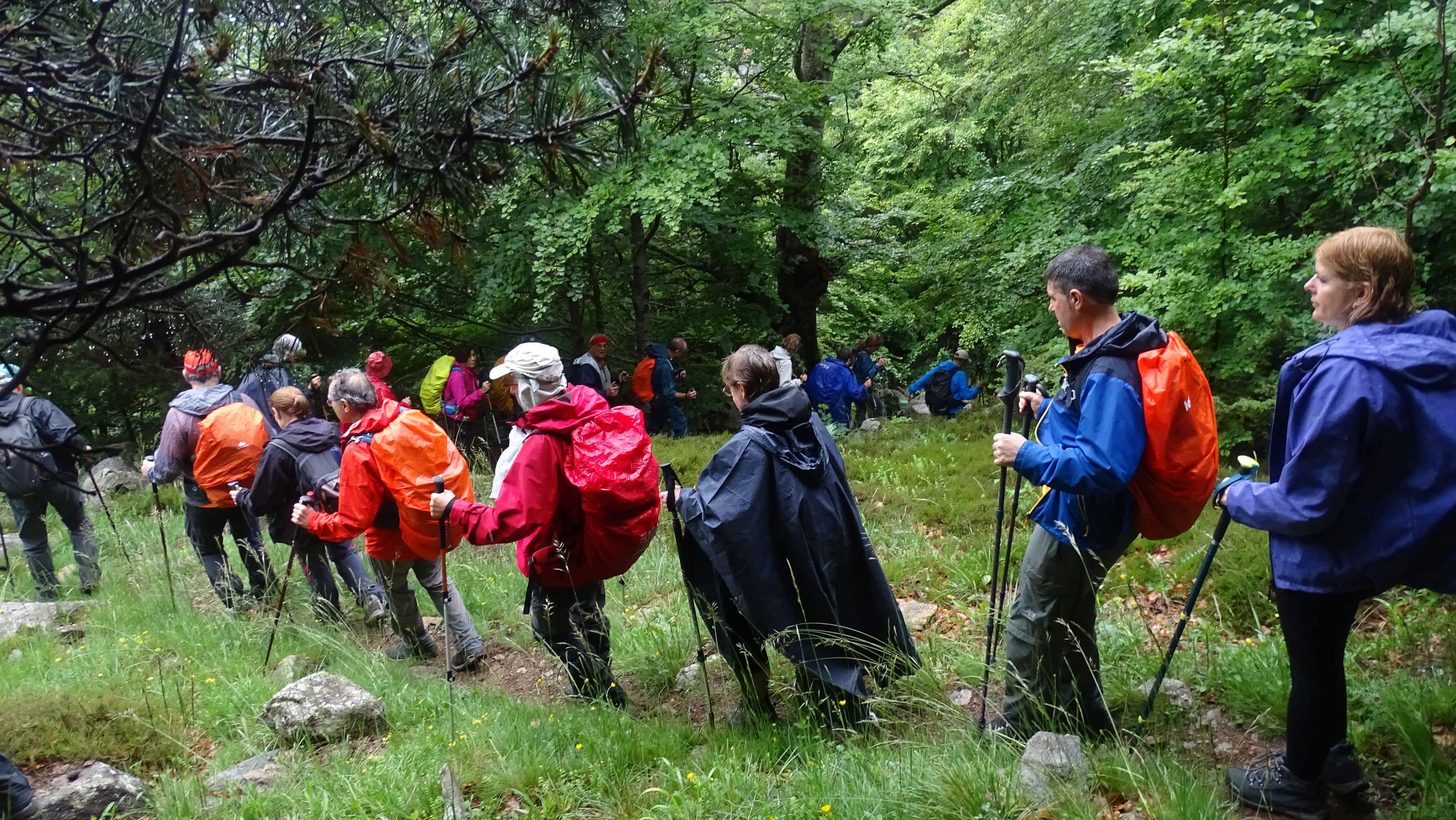 Por el barranco de Salenques hasta las Cascadas del Pi. Foto Peña Guara