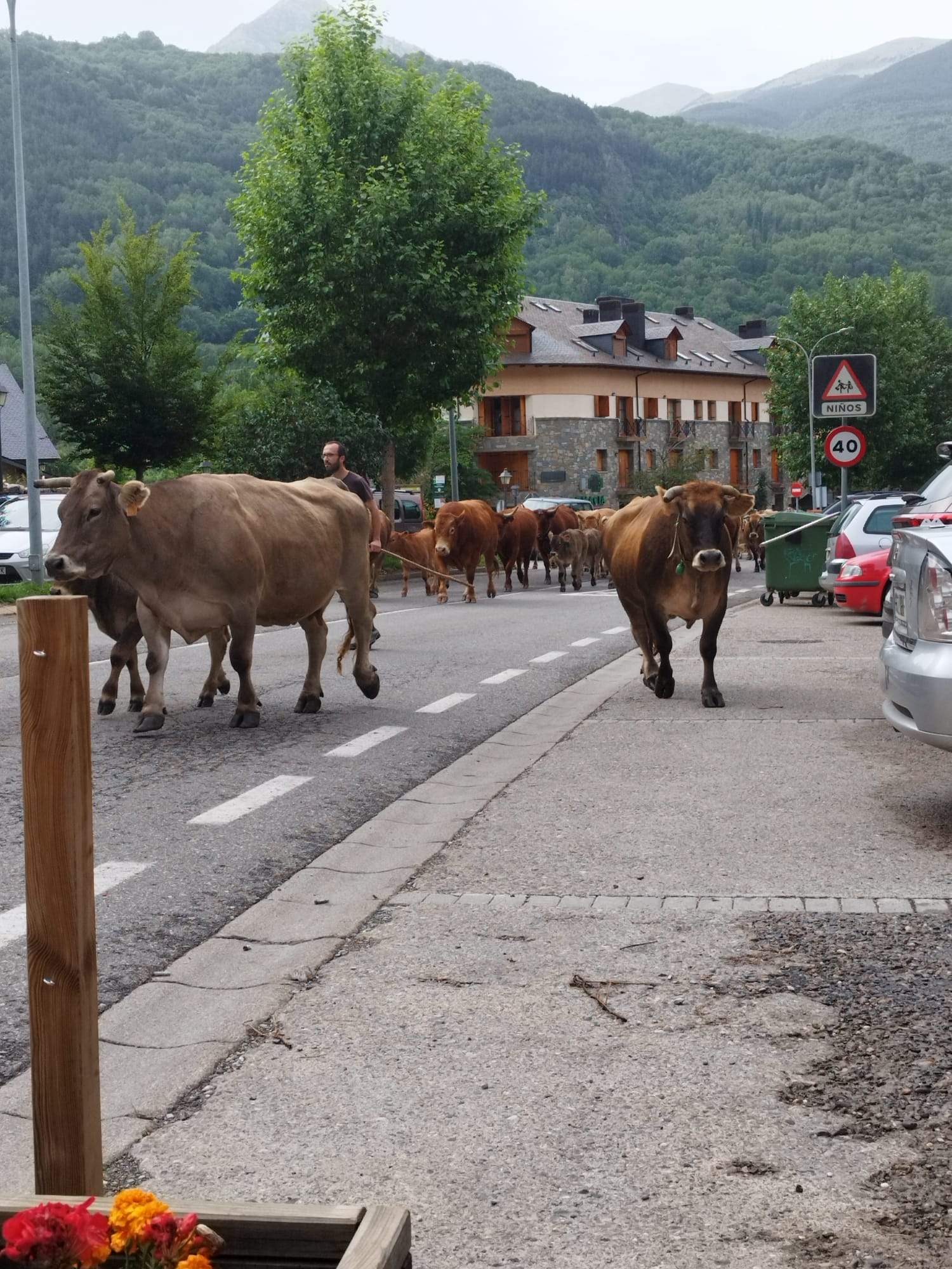 Estado de los Baños de Benasque. Foto Nacho Bernad