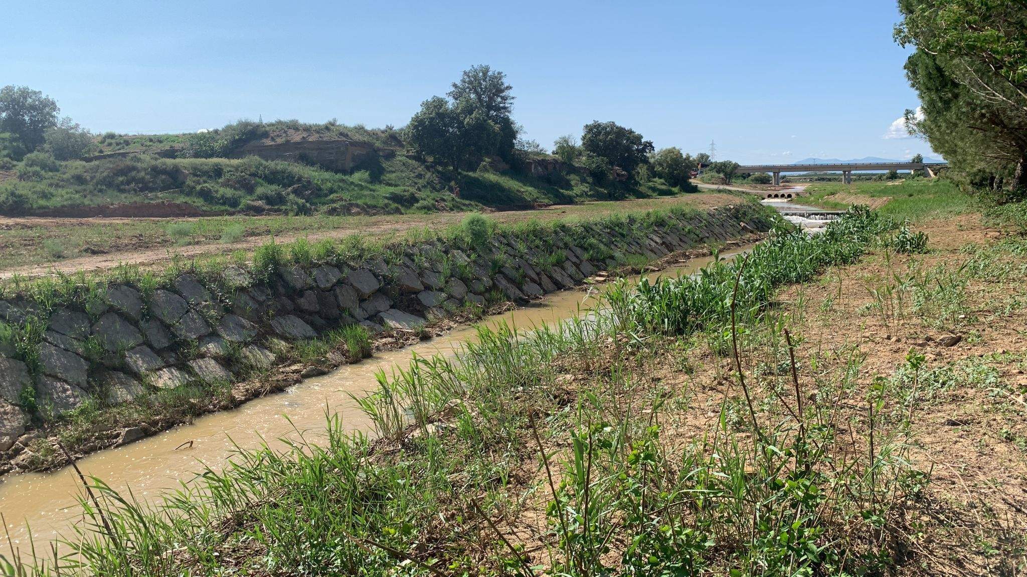 Zona donde ya se ha actuado, aguas arriba de Pomar.