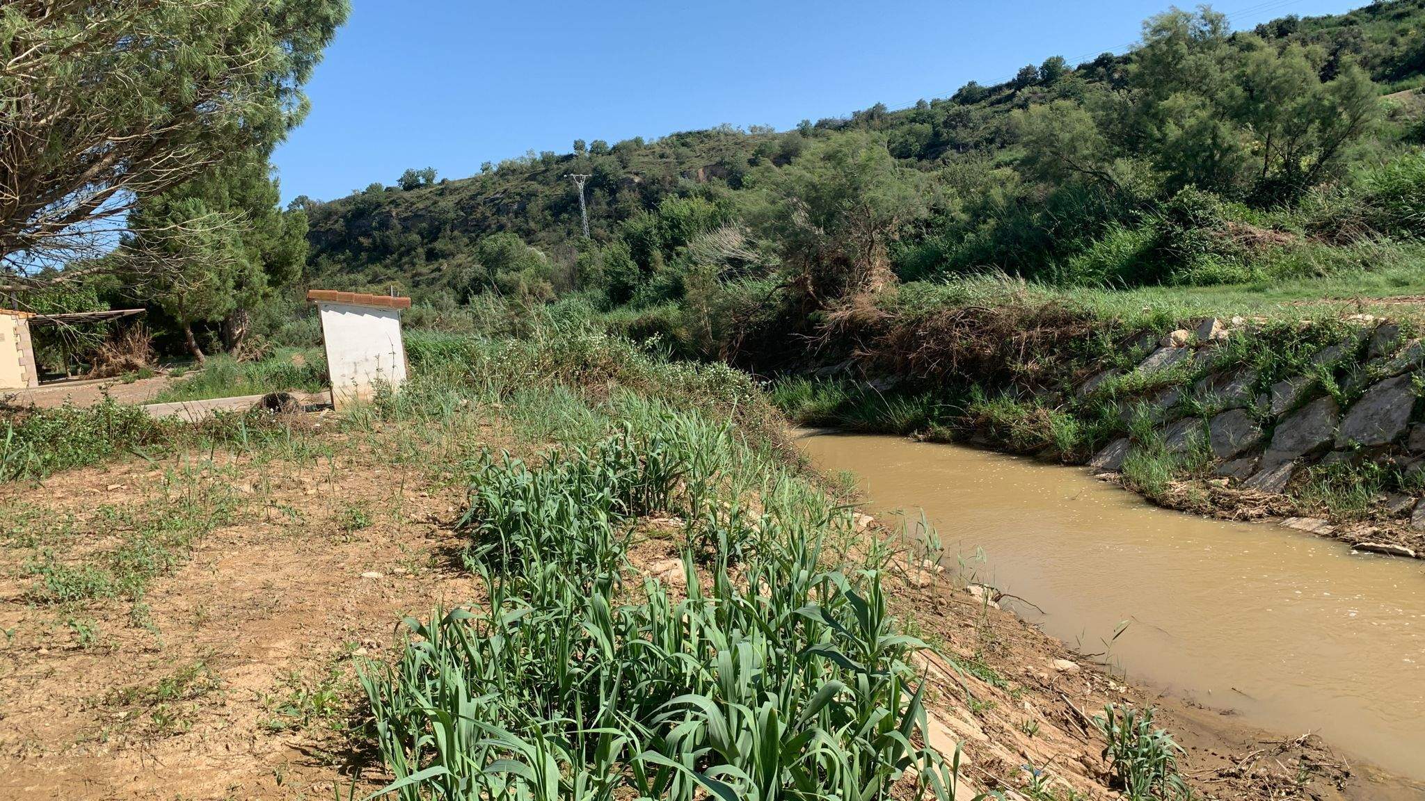 Zona donde ya se ha actuado, aguas arriba de Pomar.