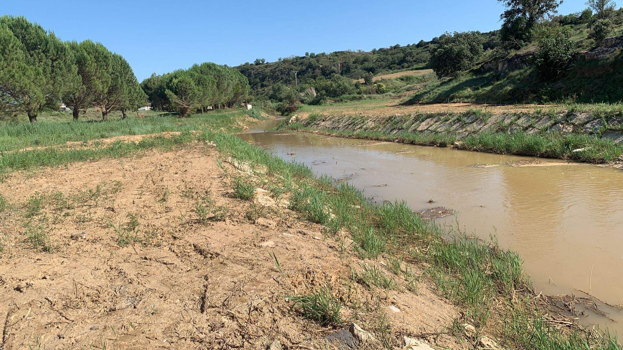 Zona donde ya se ha actuado, aguas arriba de Pomar.