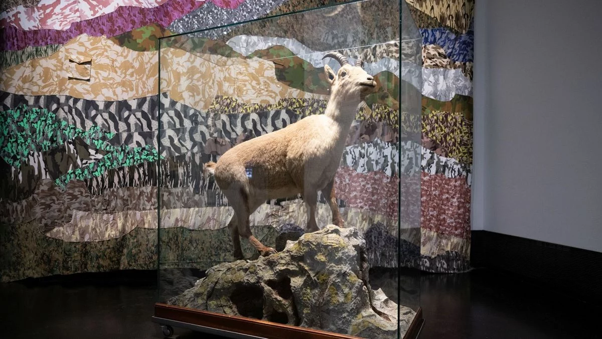 Laña en el Deutsches Hygiene Museum de Alemania. Foto: Sebastian Kahnert. 