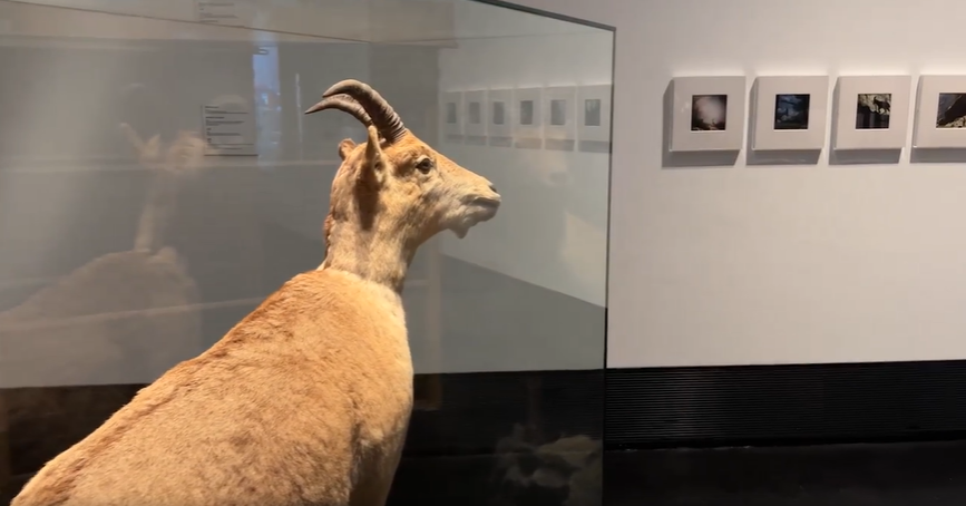 Imagen de Laña en la exposición.