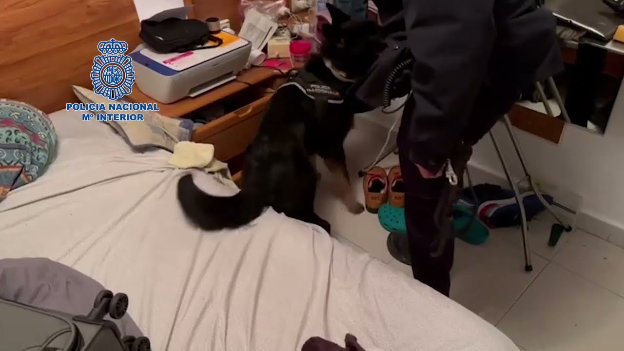 La mayor cantidad de cocaína intervenida en Huesca