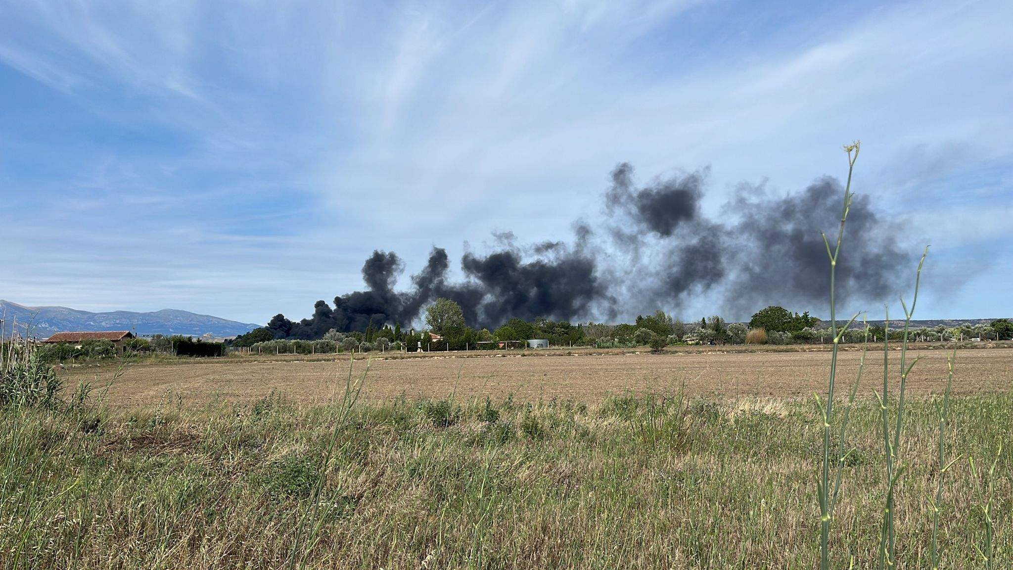 Incendio en la carretera de Vicién.