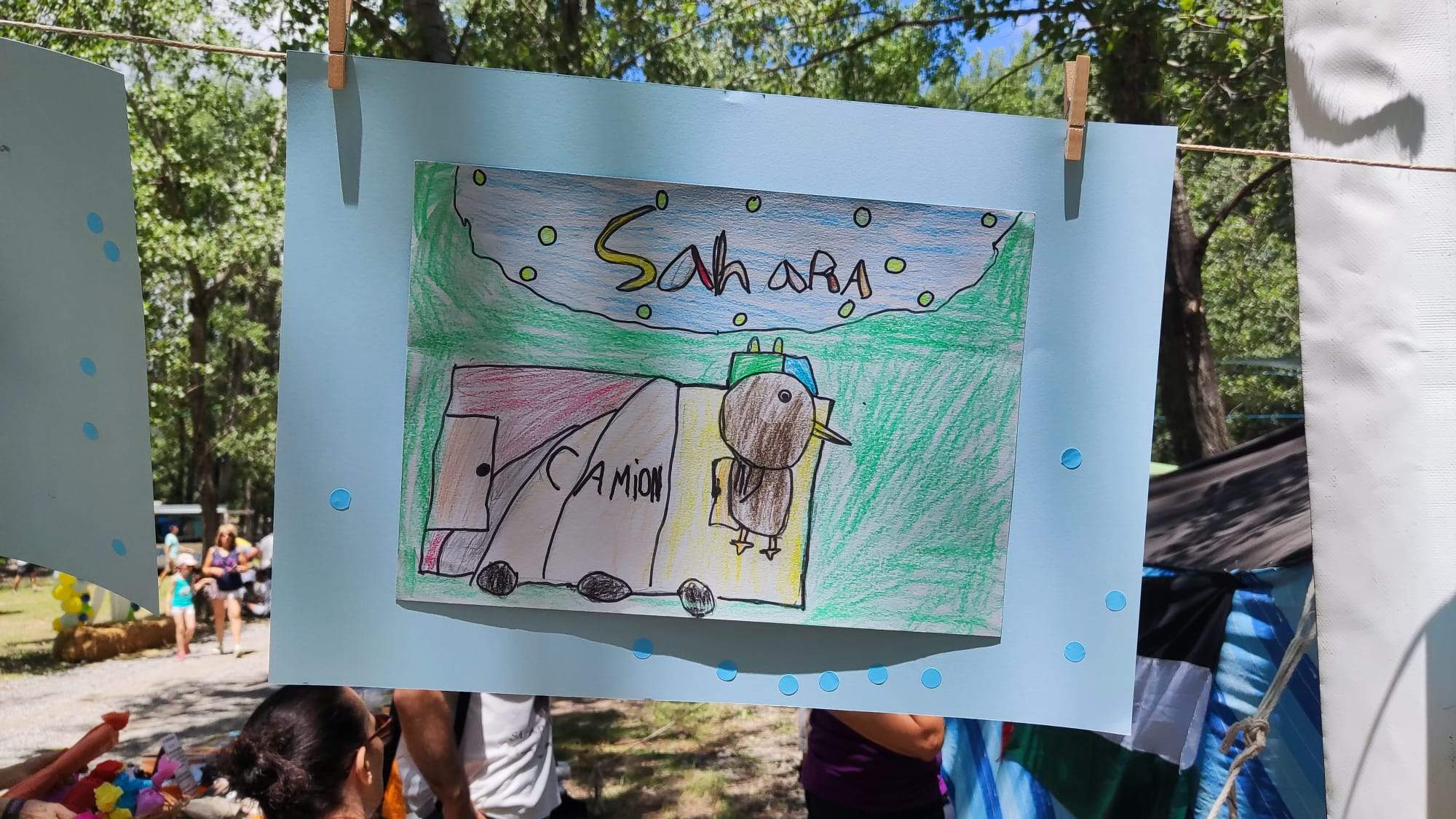 Sahara Colour Rice 2023