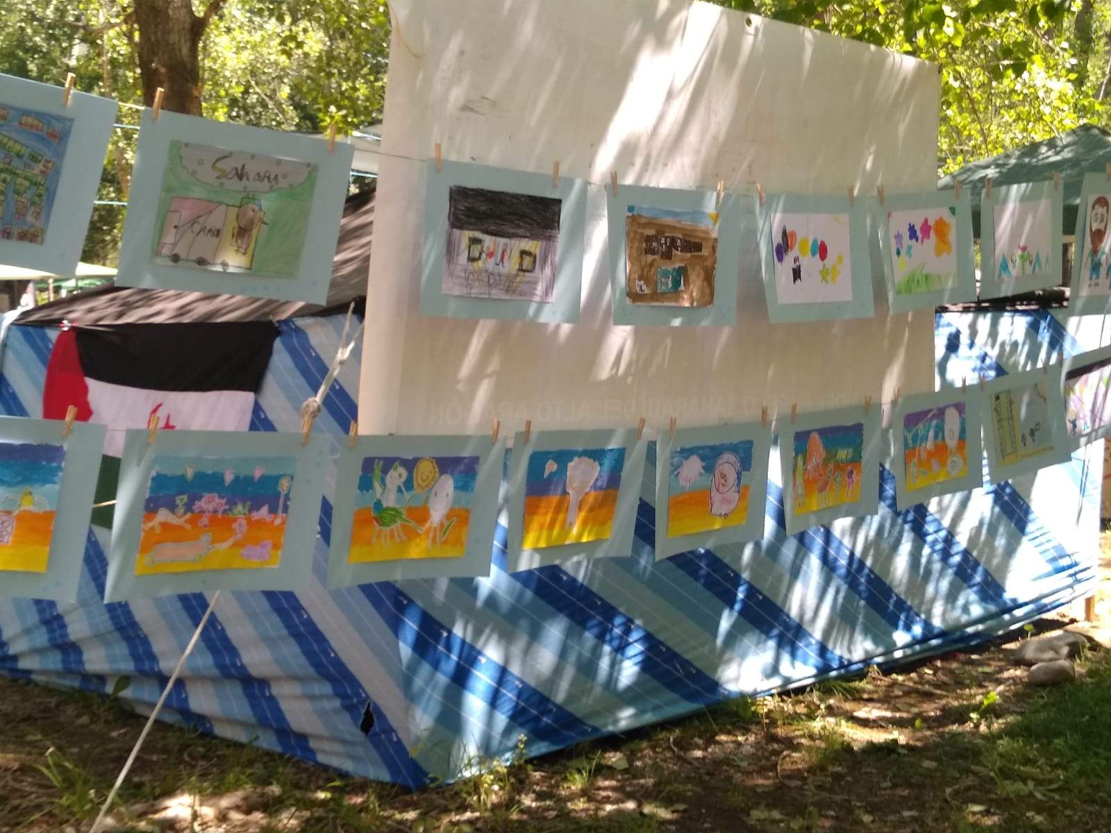 Sahara Colour Rice 2023