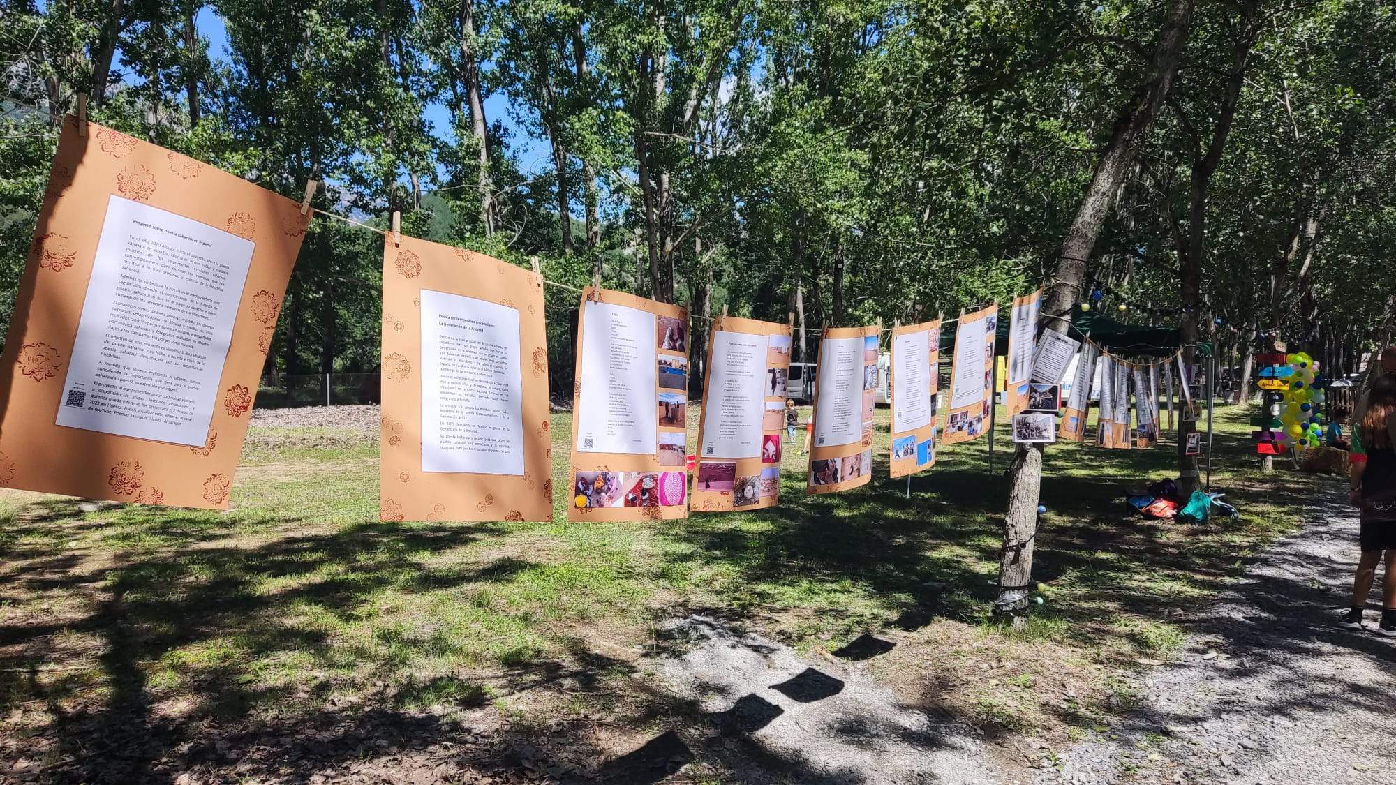 Sahara Colour Rice 2023