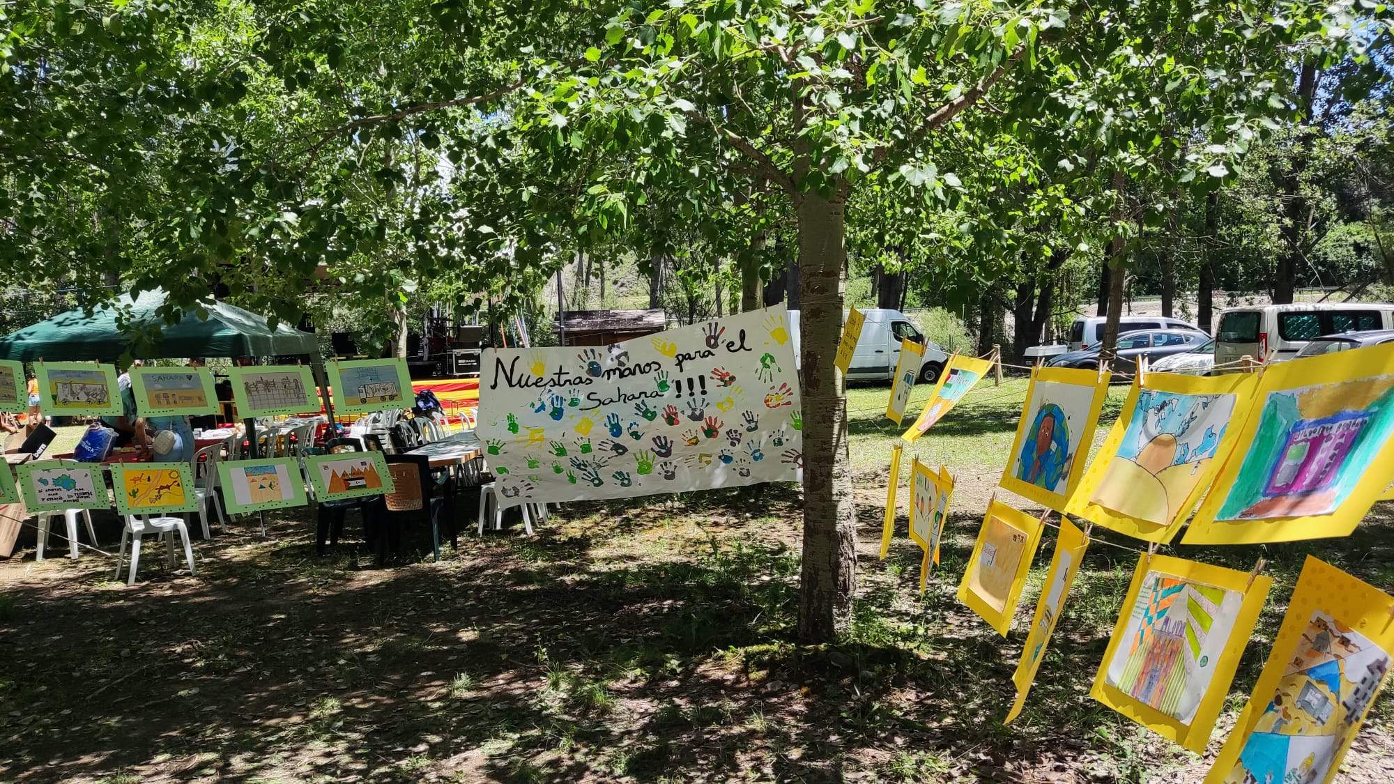 Sahara Colour Rice 2023