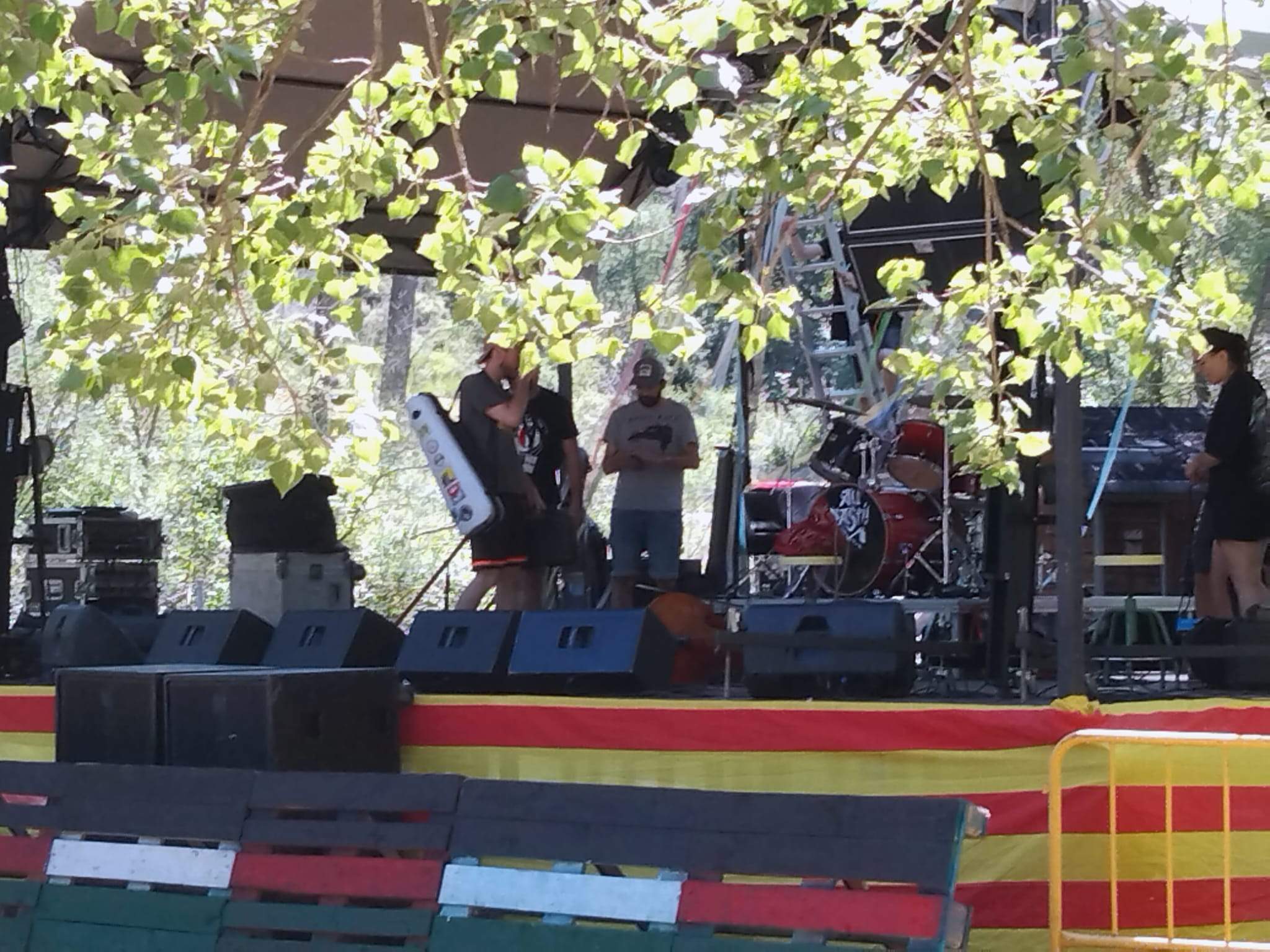 Sahara Colour Rice 2023