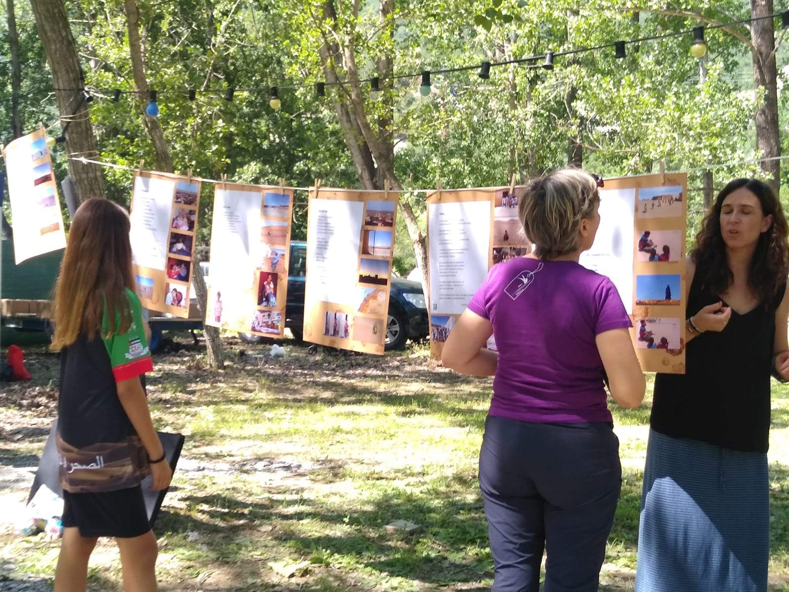 Sahara Colour Rice 2023