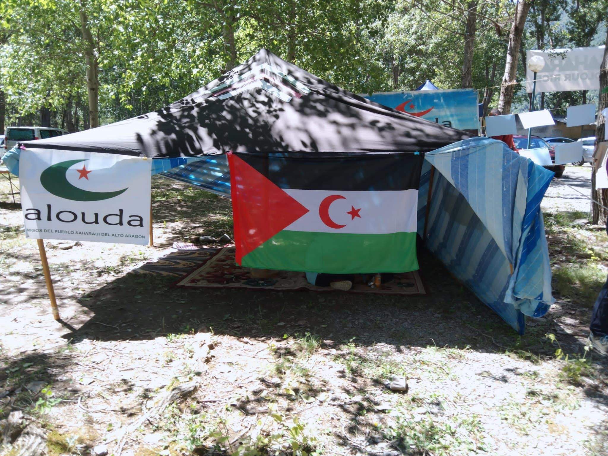 Sahara Colour Rice 2023