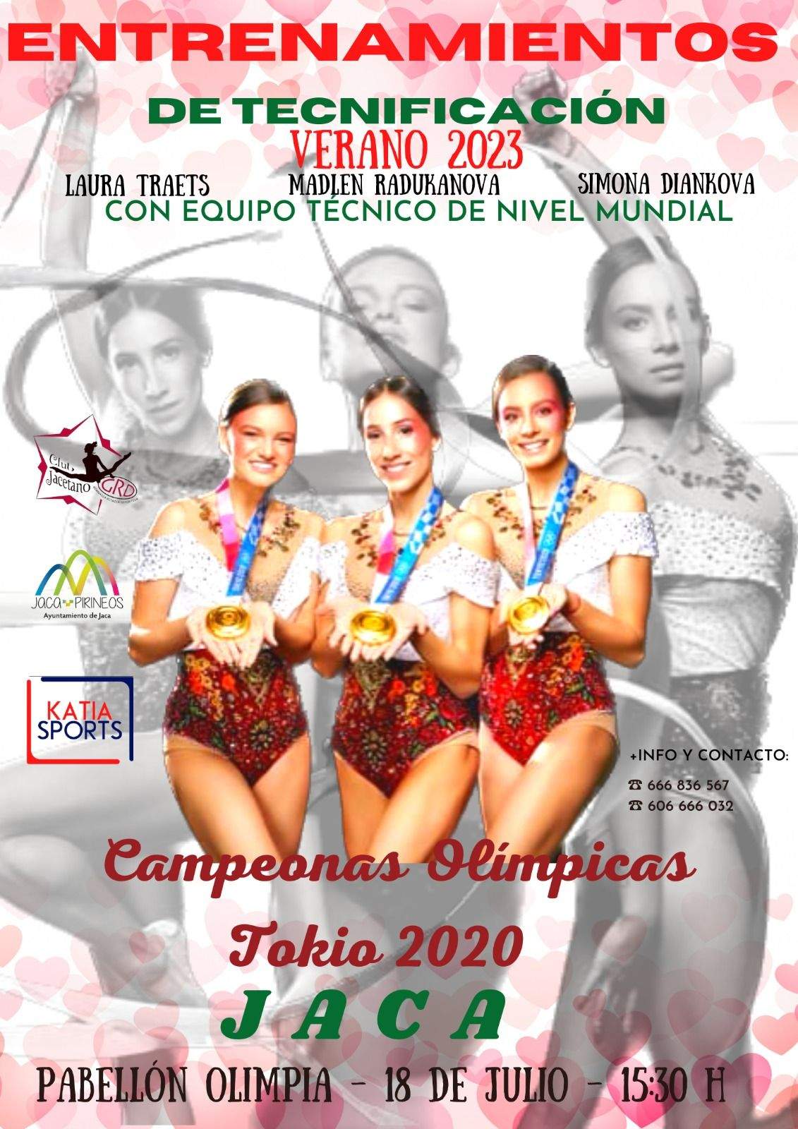 Cartel del entrenamiento de tecnificación