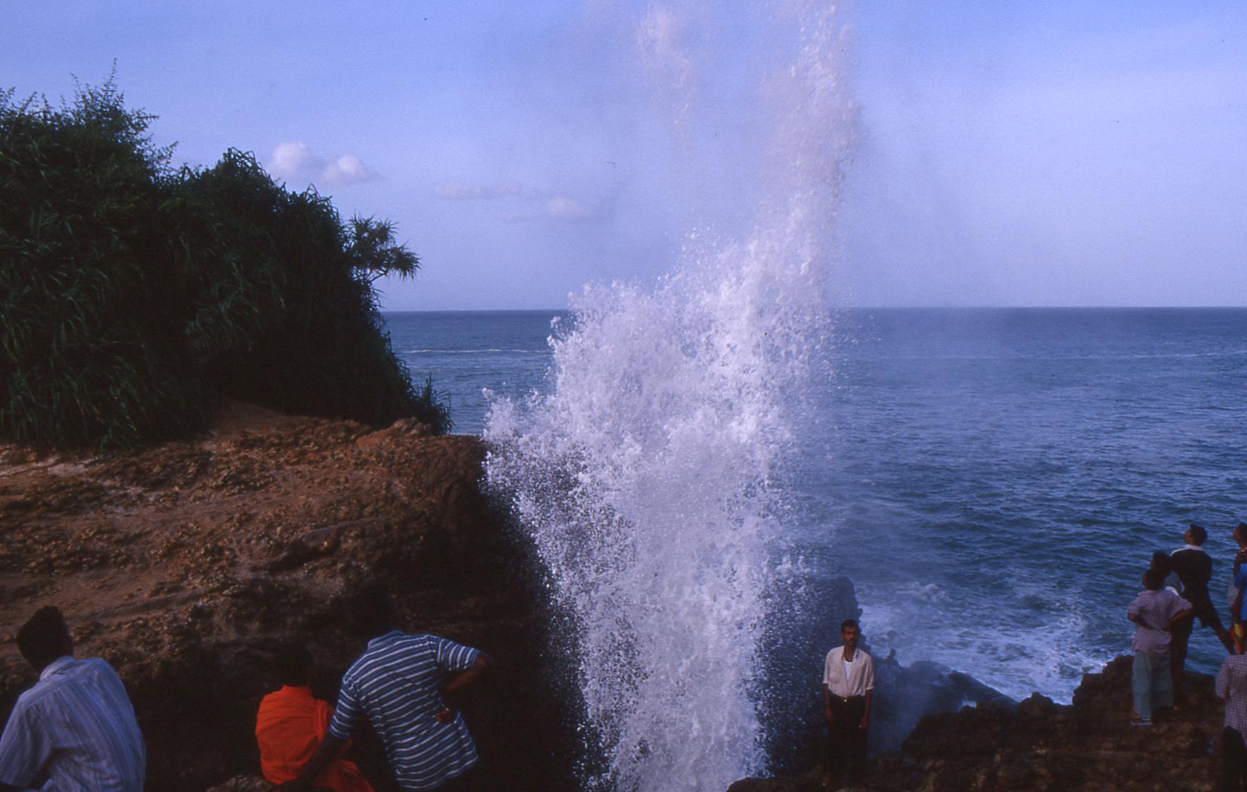 El orificio nasal de Maniya