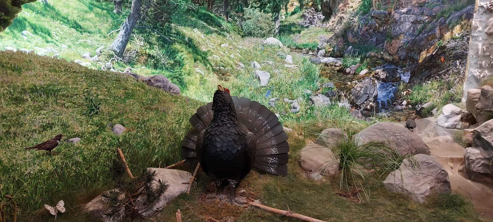 Visita de Ternasco de Aragón IGP por Aragón