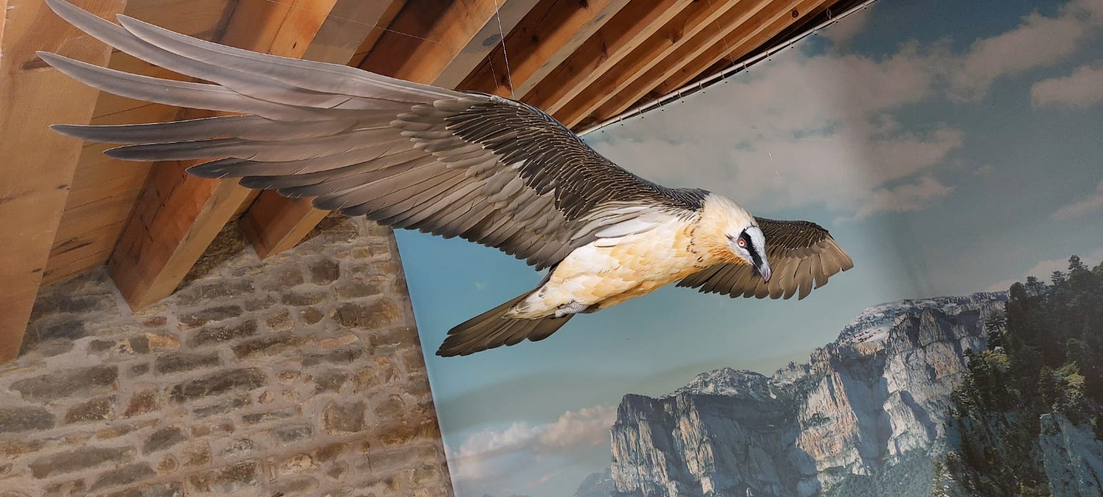 Visita de Ternasco de Aragón IGP por Aragón