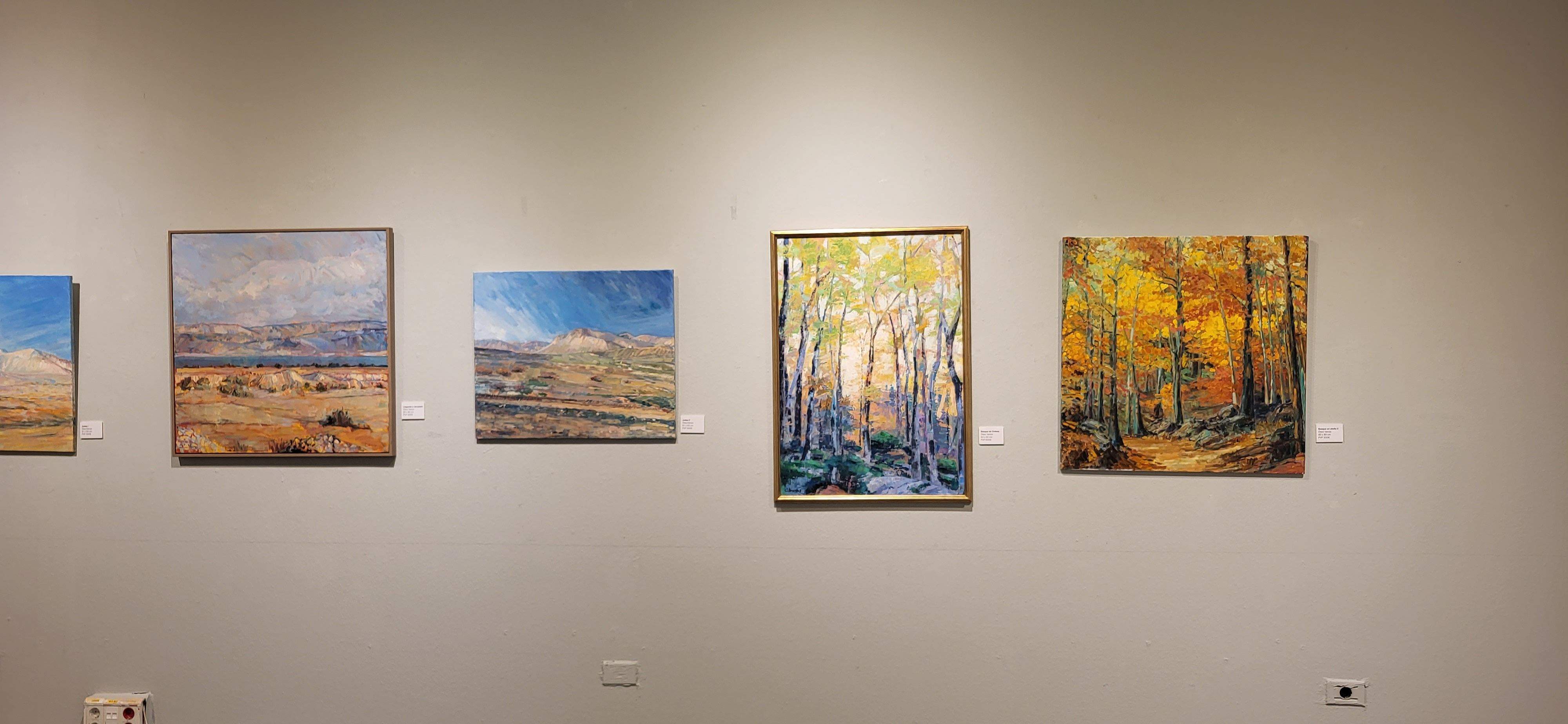 Exposición de Carmen Arenas en Huesca 2023. Foto Myriam Martínez