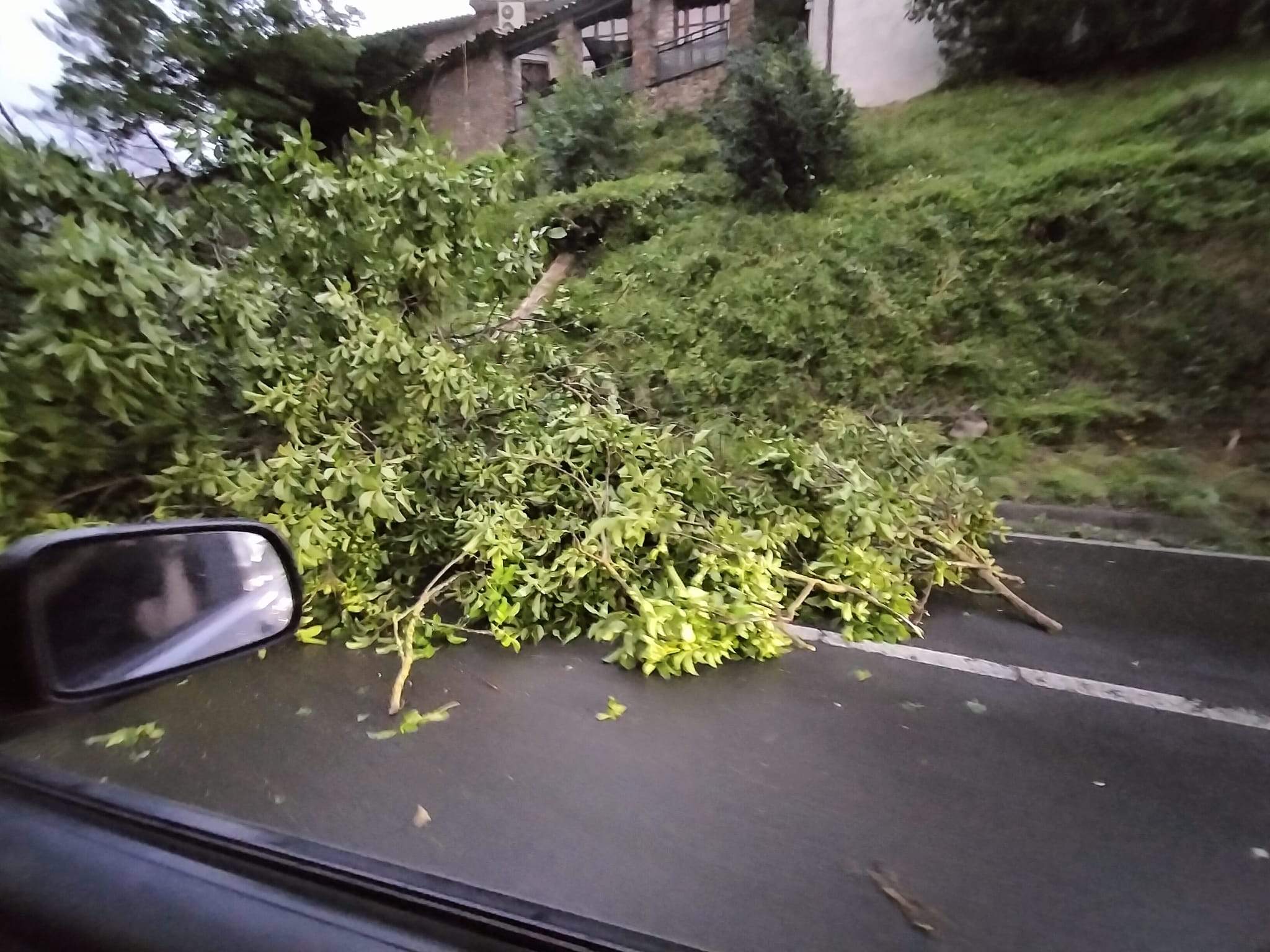 Efectos del temporal en Campo