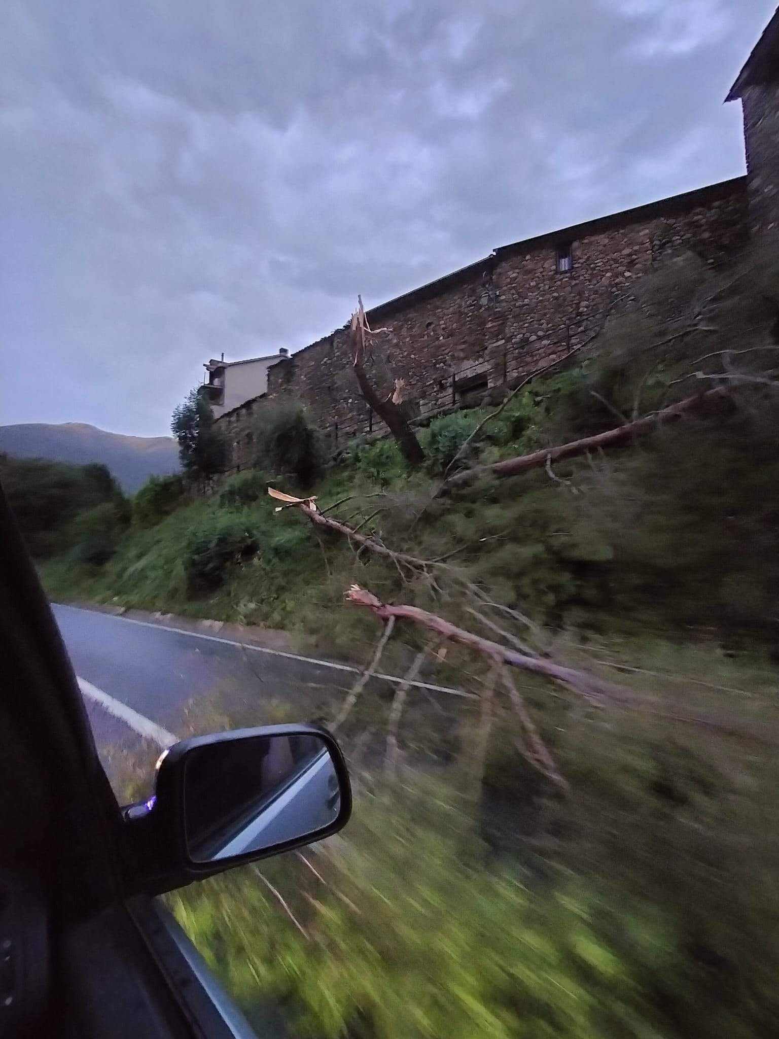 Efectos del temporal en Campo
