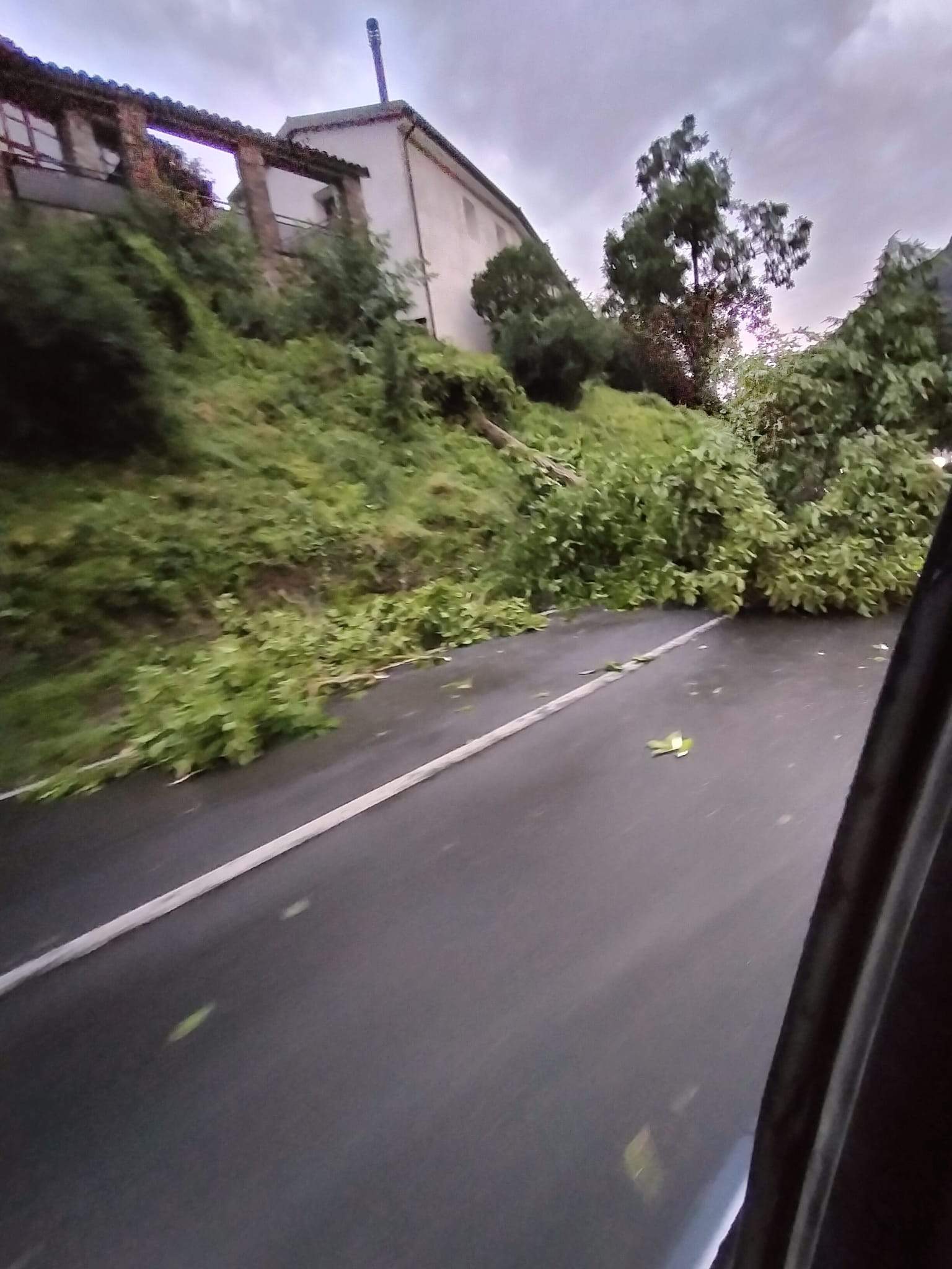 Efectos del temporal en Campo