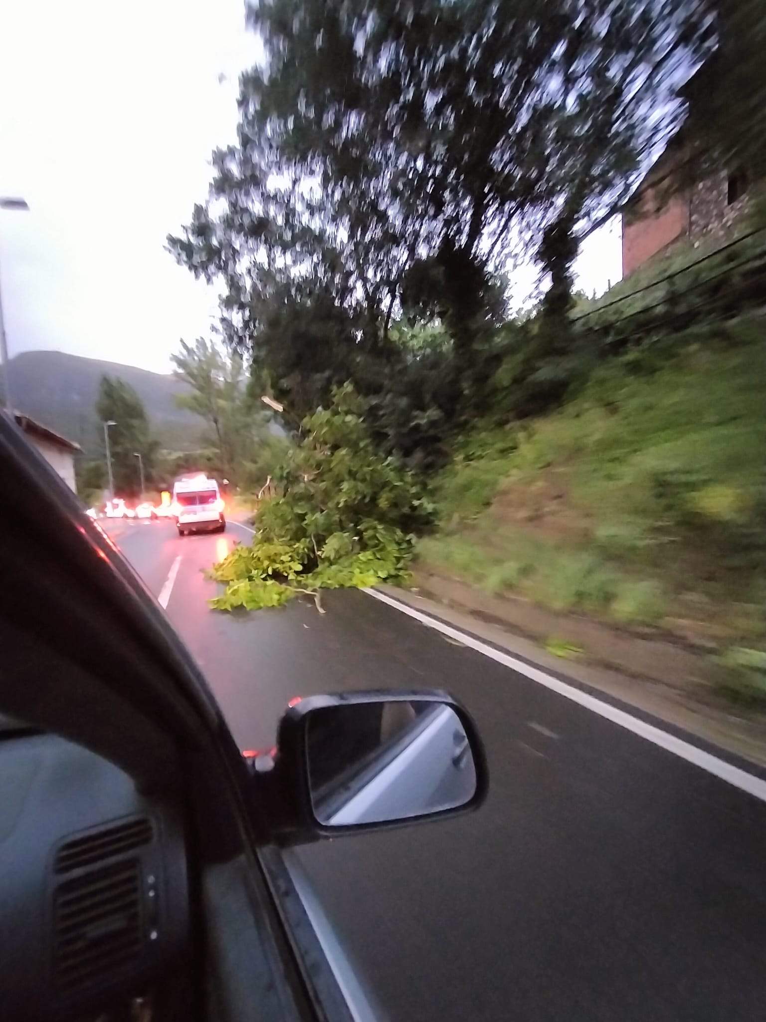Efectos del temporal en Campo