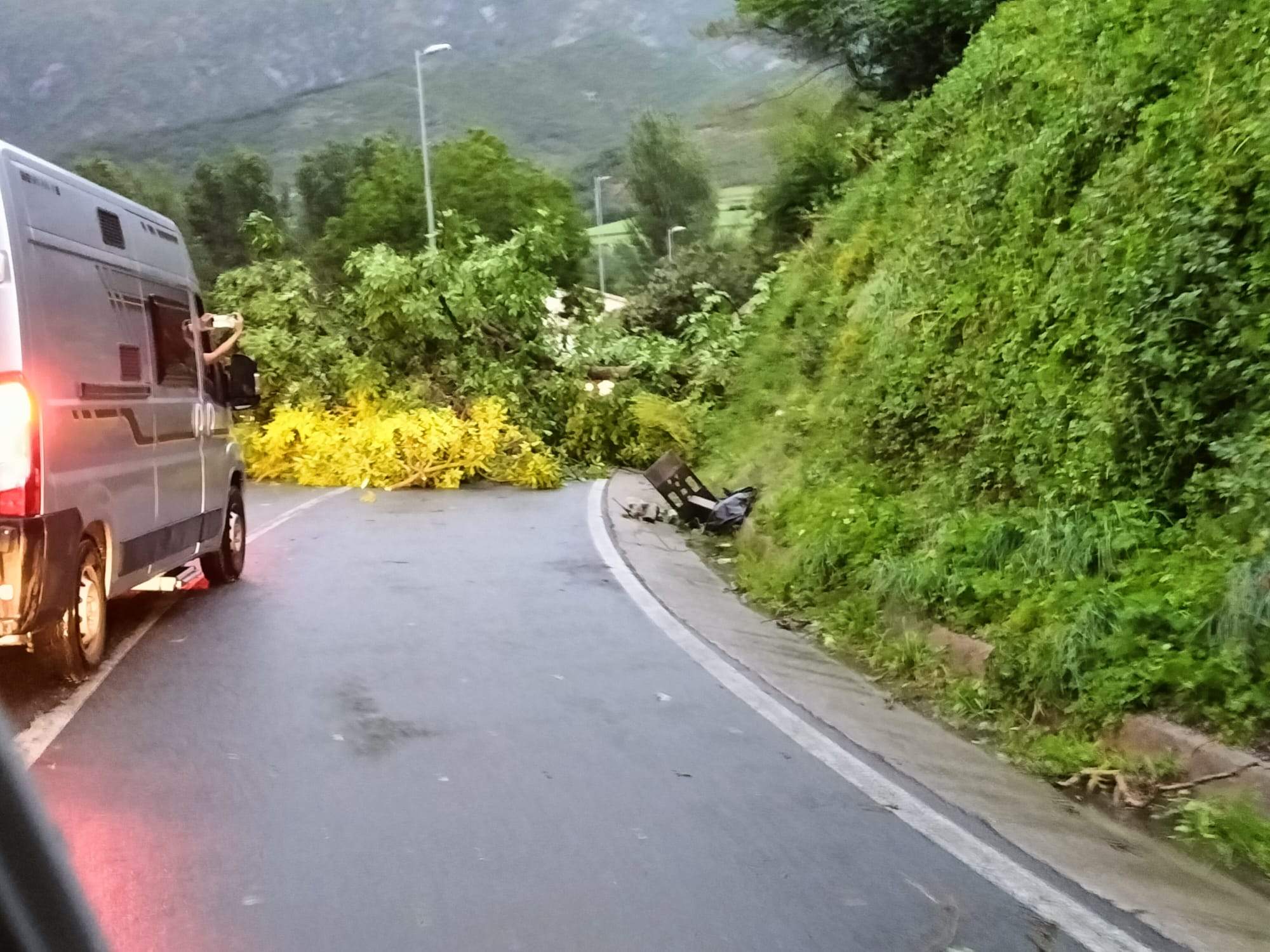 Efectos del temporal en Campo