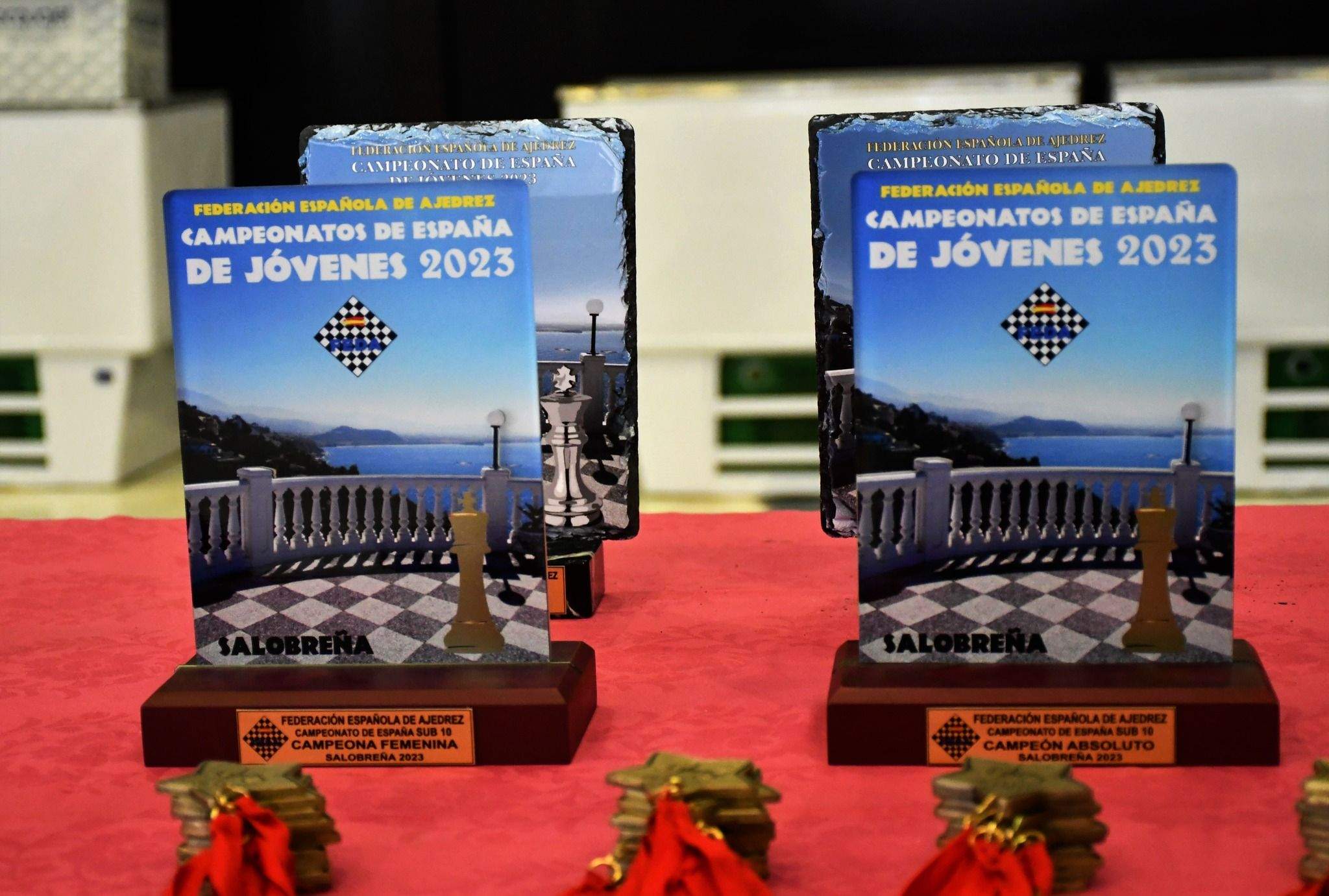 Campeonato de España de ajedrez Sub-10. Foto FEDA