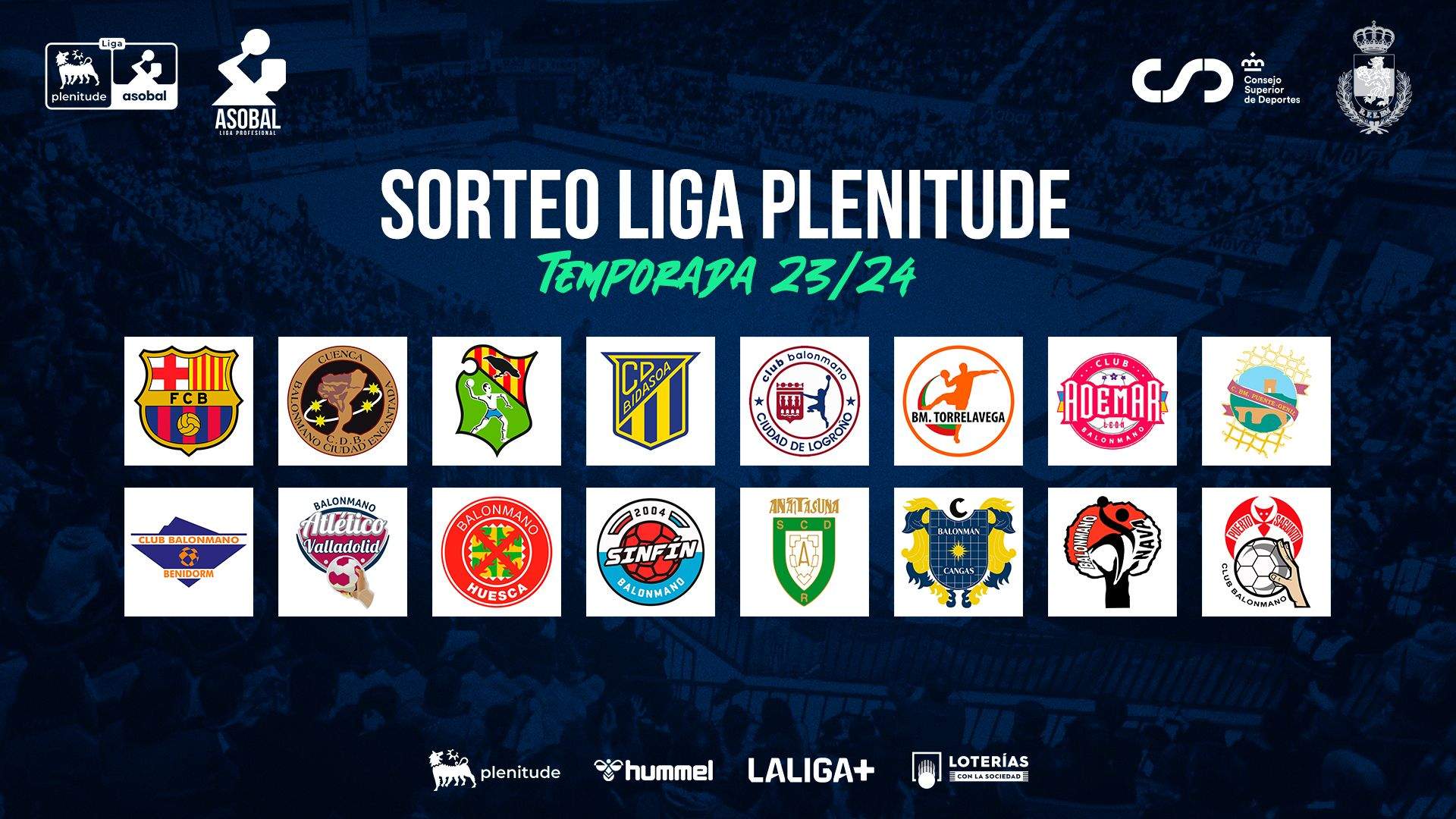 Equipos que participarán la próxima temporada en la Liga Plenitude Asobal.