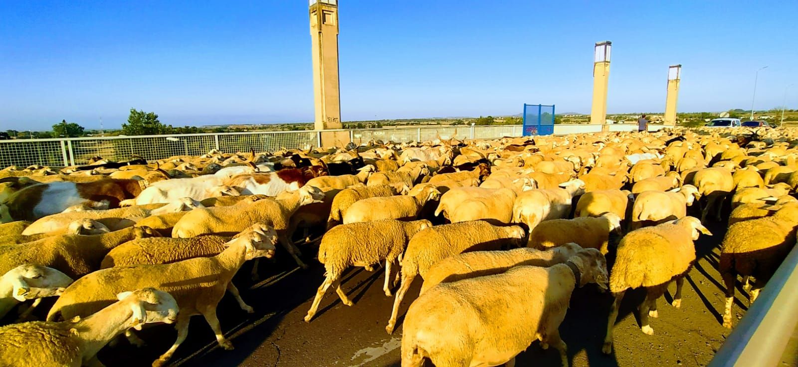 Imágen de su paso por Huesca. Foto Joaquín Santafé