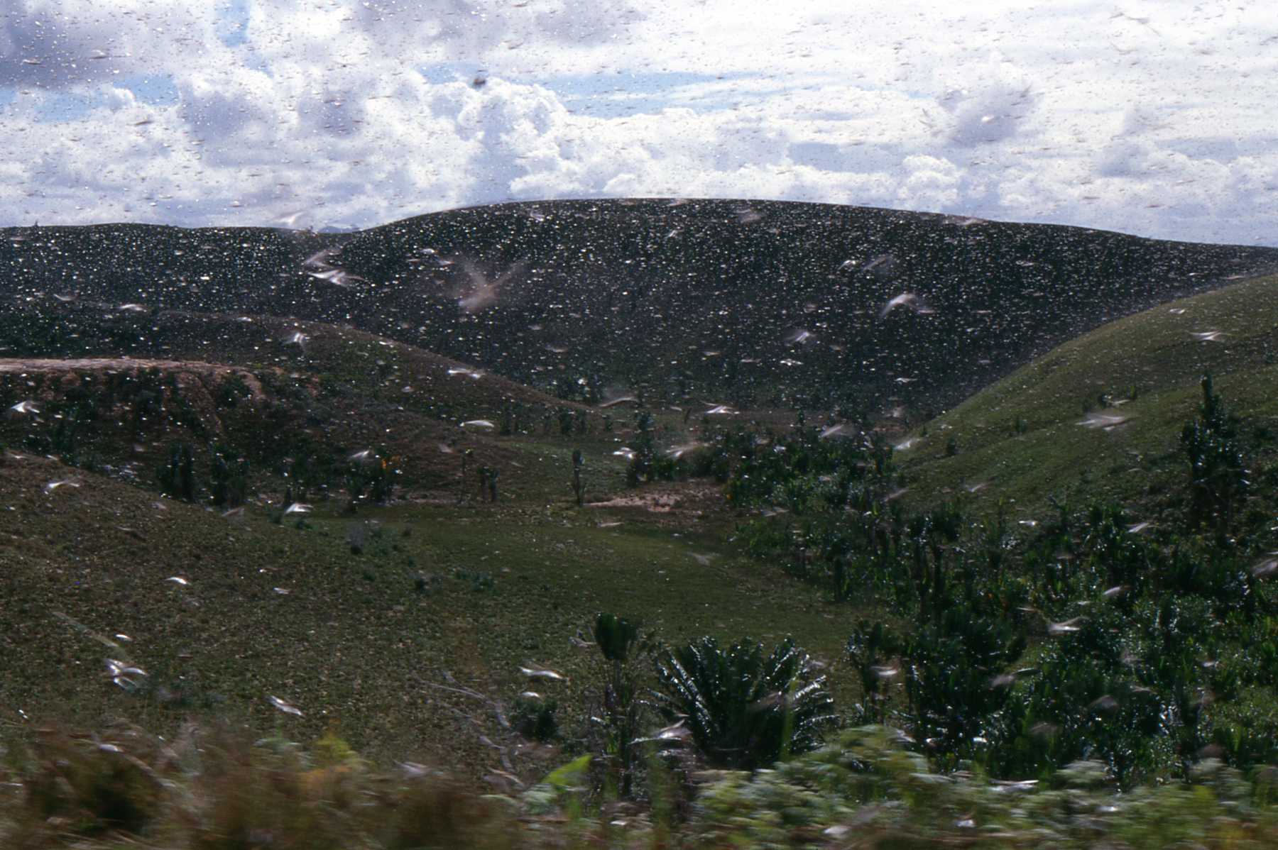 Viaje de Marco Pascual por Madagascar.
