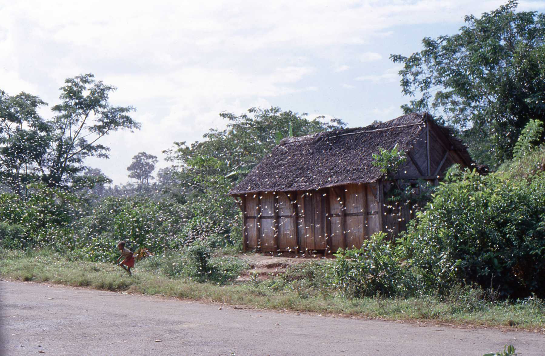 Viaje de Marco Pascual por Madagascar.