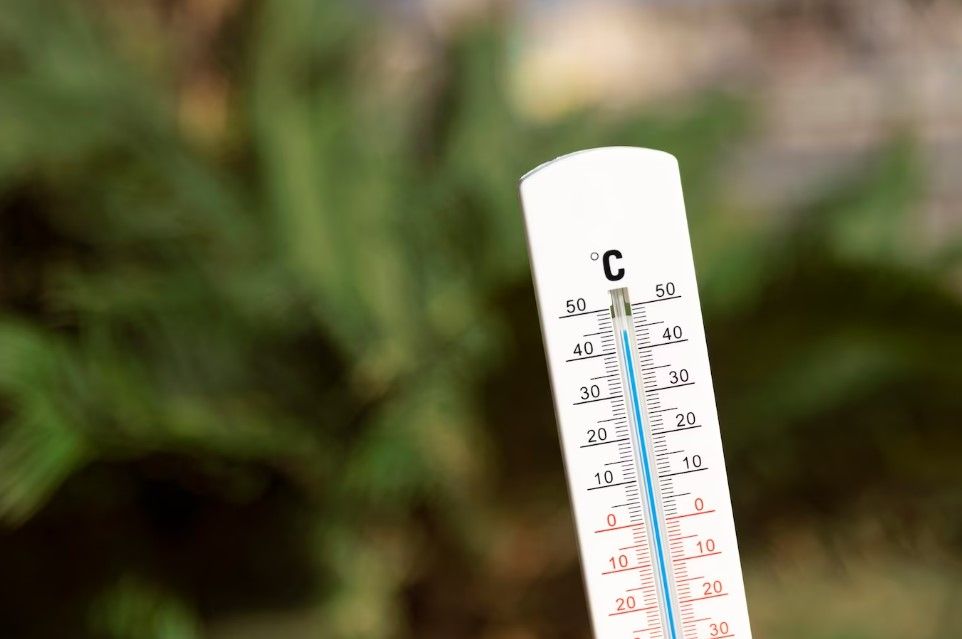 El termómetro puede superar los 40 grados