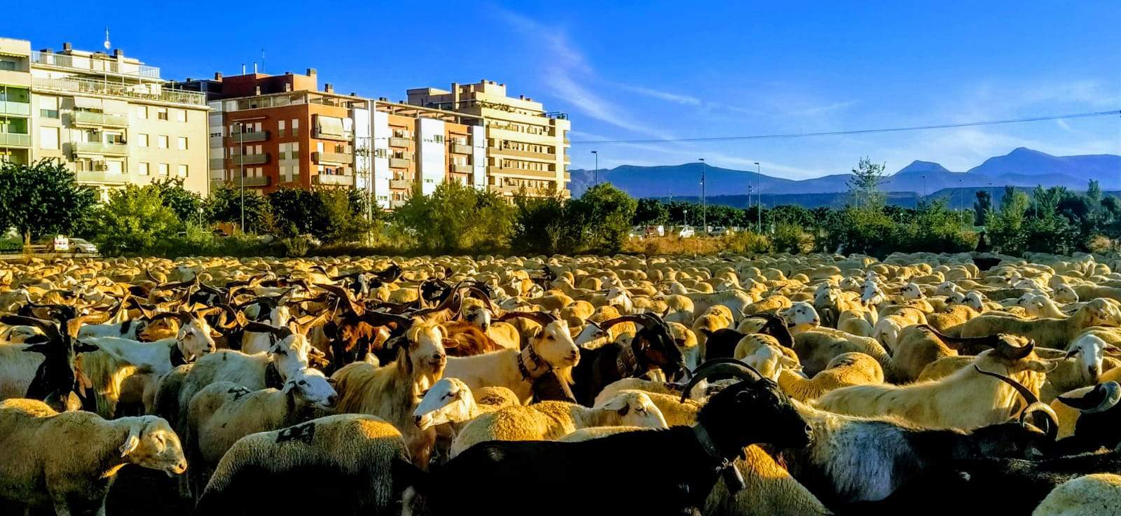 Paso por Huesca. Foto Joaquín Santafé 